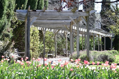 a gazebo in a garden