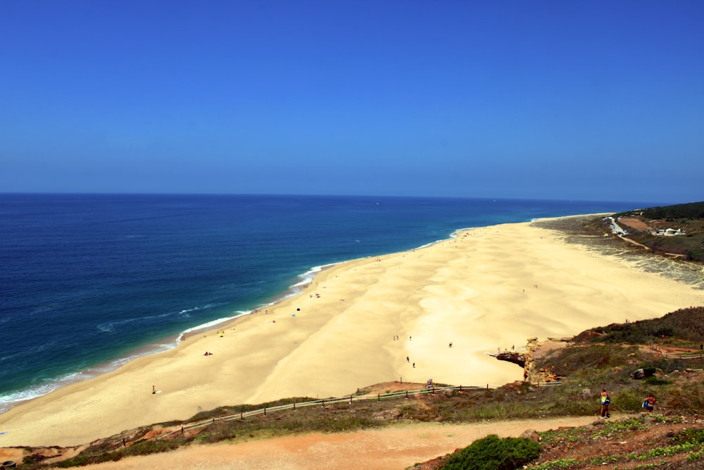 Una playa con gente en ella