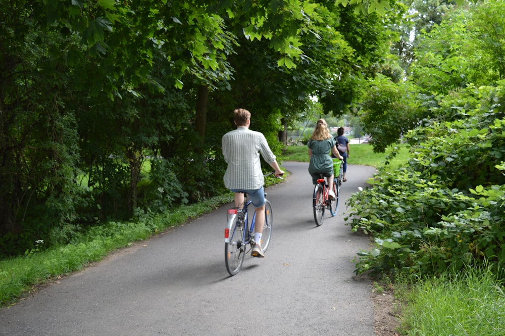 숲 속의 길에서 자전거를 타는 한 무리의 사람들