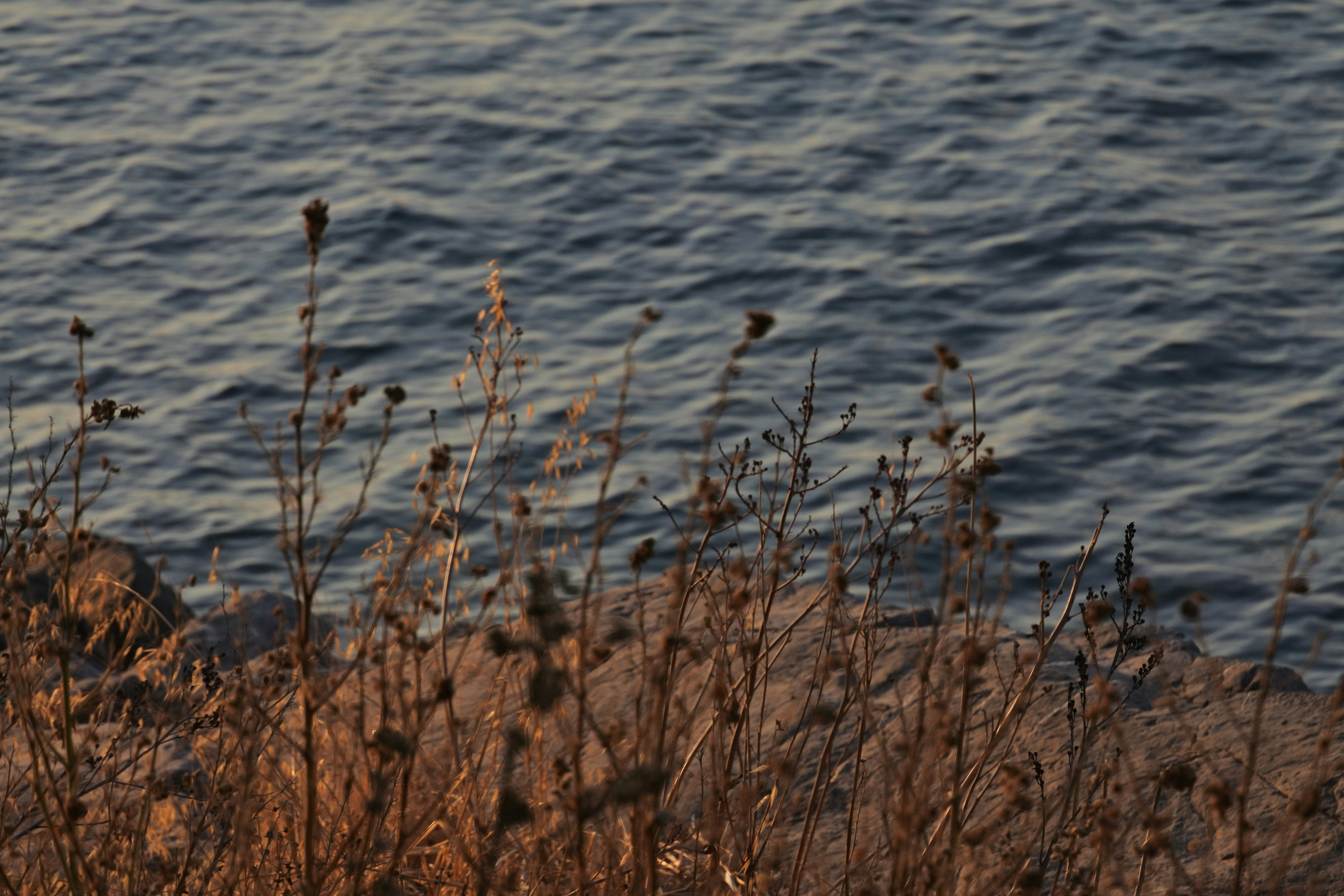 Photo by happyartists