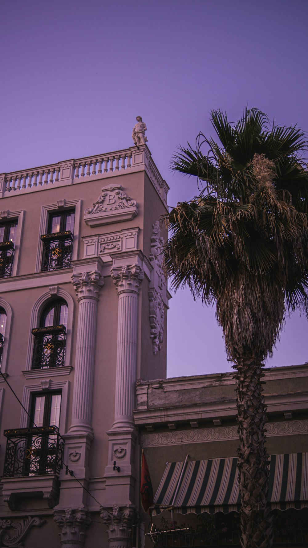 a building with a palm tree in front of it