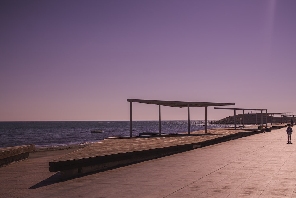 a person walking on a sidewalk next to a body of water