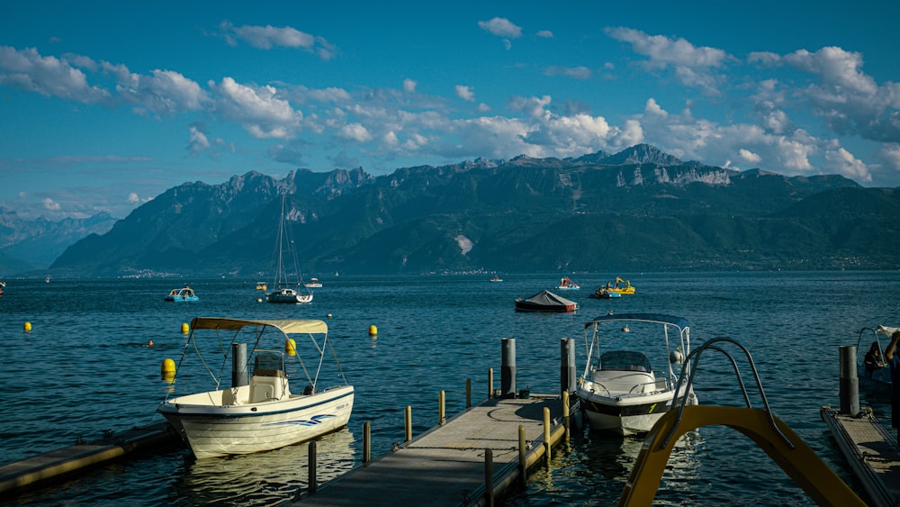 boats in the water