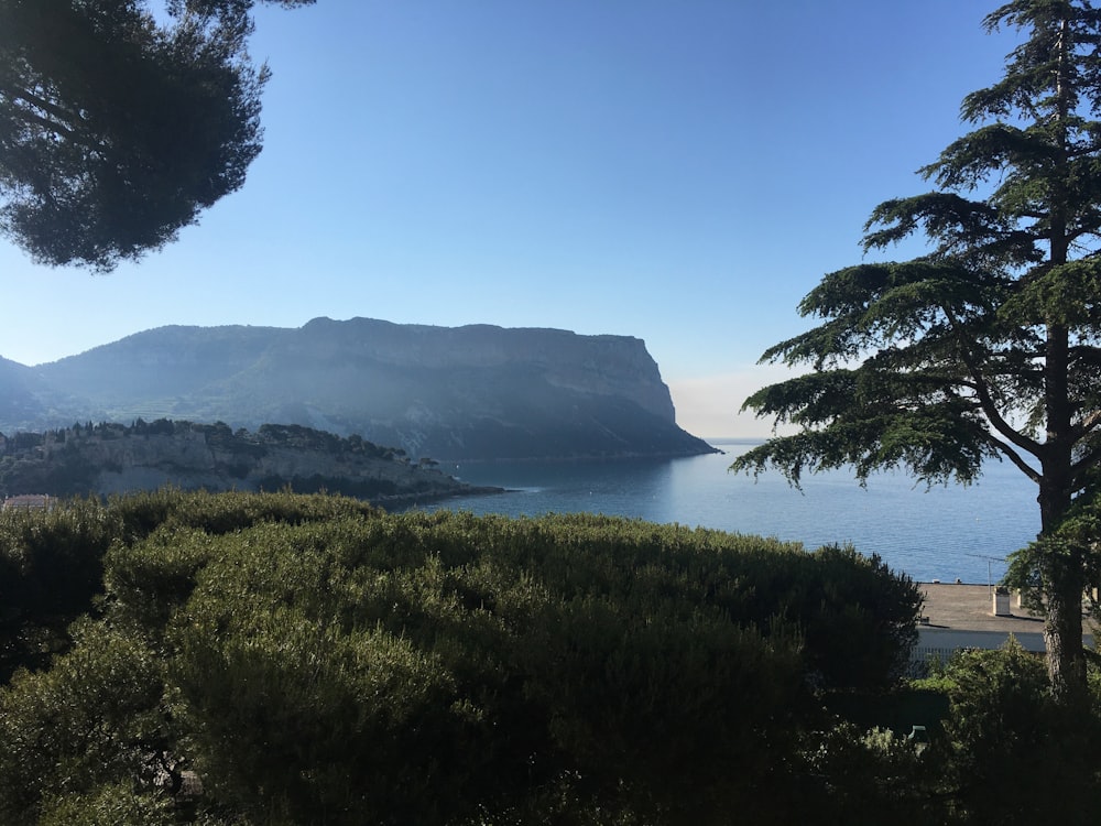 a body of water with trees around it