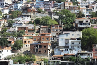 A densely packed hillside with numerous residential houses of various colors and sizes. The buildings are closely clustered together and climb up the slope. Abundant green trees and shrubs are interspersed among the homes, adding natural elements to the urban setting.