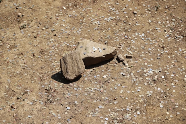 Coins of various sizes and colors are scattered across a dirt surface, surrounding a couple of rough, irregularly shaped stones at the center.