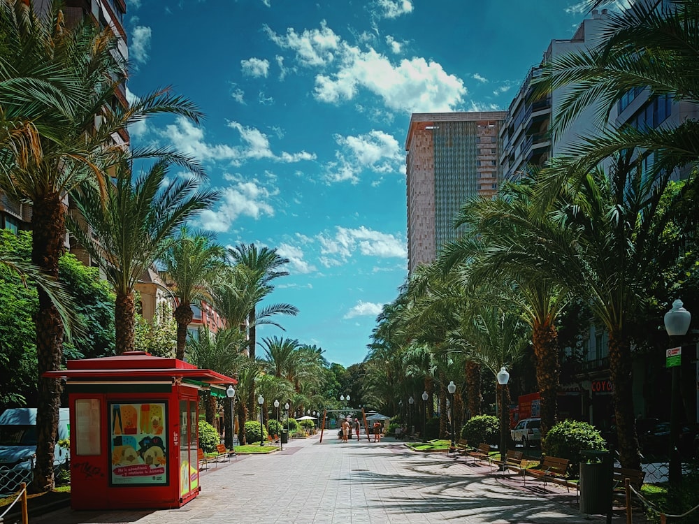 a street with palm trees and buildings