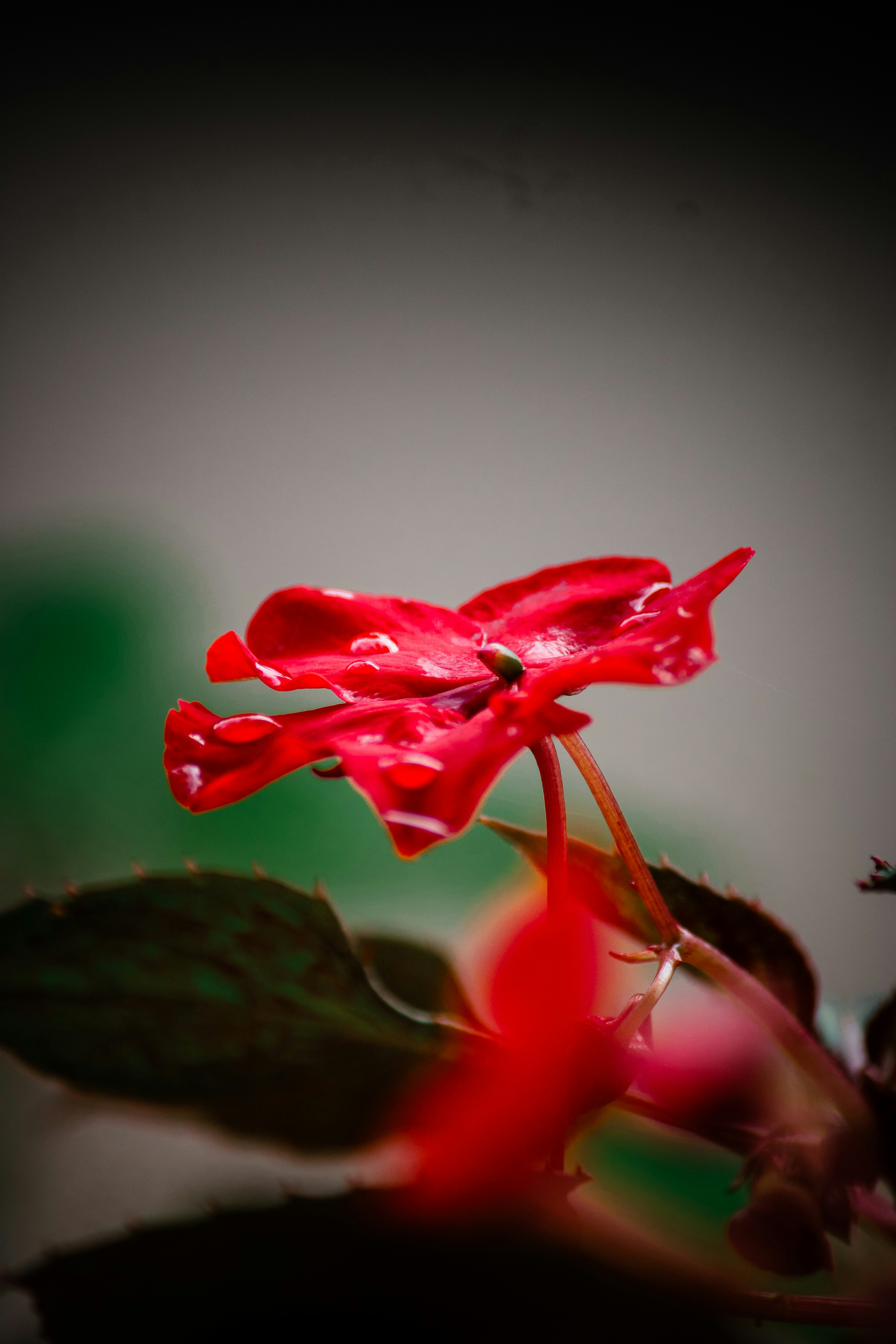 Photo by arun_narayan