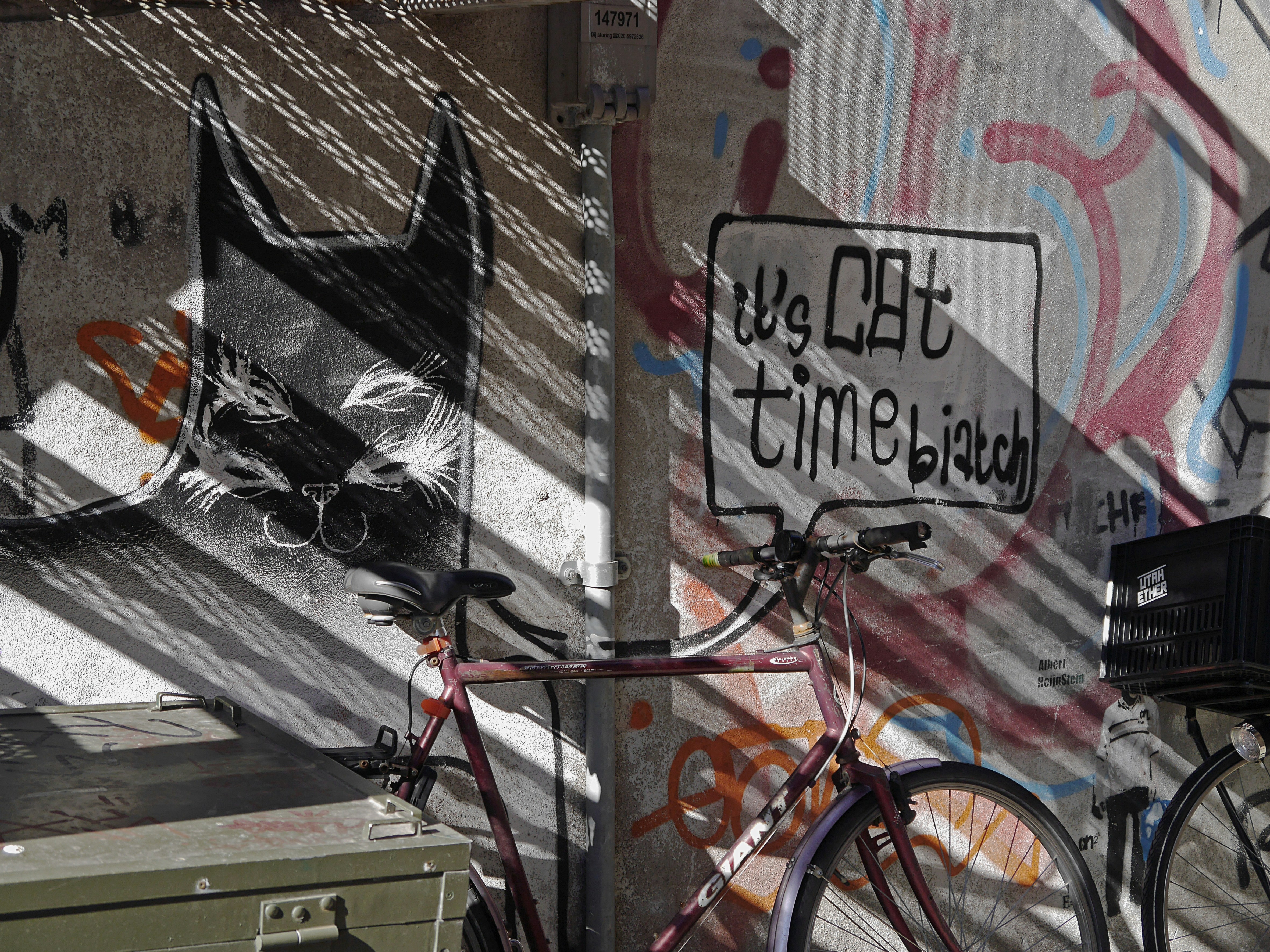 Amsterdam street photo of city art & graffiti, free download - It's CAT time! Sprayed wall painting in black-white: a cat waiting above a parked bicycle. A picture with diagonal beams of shadows of anoutdoor stairs and with strong contrasts in the image, because it was a sunny day in Autumn, october 2016. Fons Heijnsbroek, street photography in Amsterdam city, The Netherlands in high resolution; free image CC0. dutch: straatfotografie van graffiti-muur met kat en fietsen in zonlicht in Amsterdam, Nederland - hoge resolutie en rechtenvrij, gratis free download foto, Fons Heijnsbroek, CCO