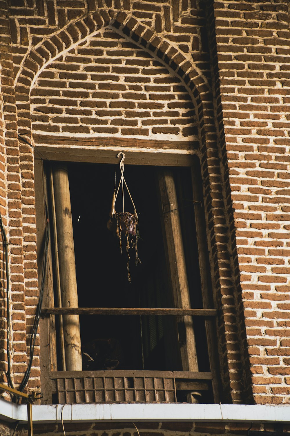 a window with a bird in it