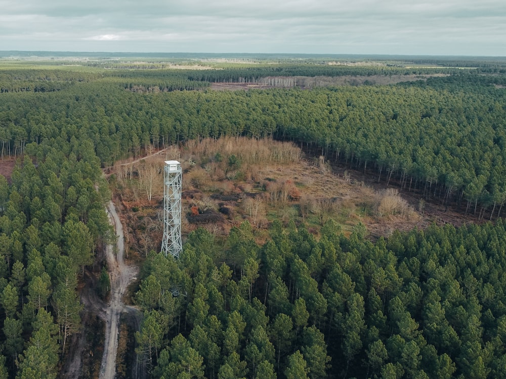 a large forest with a water tower