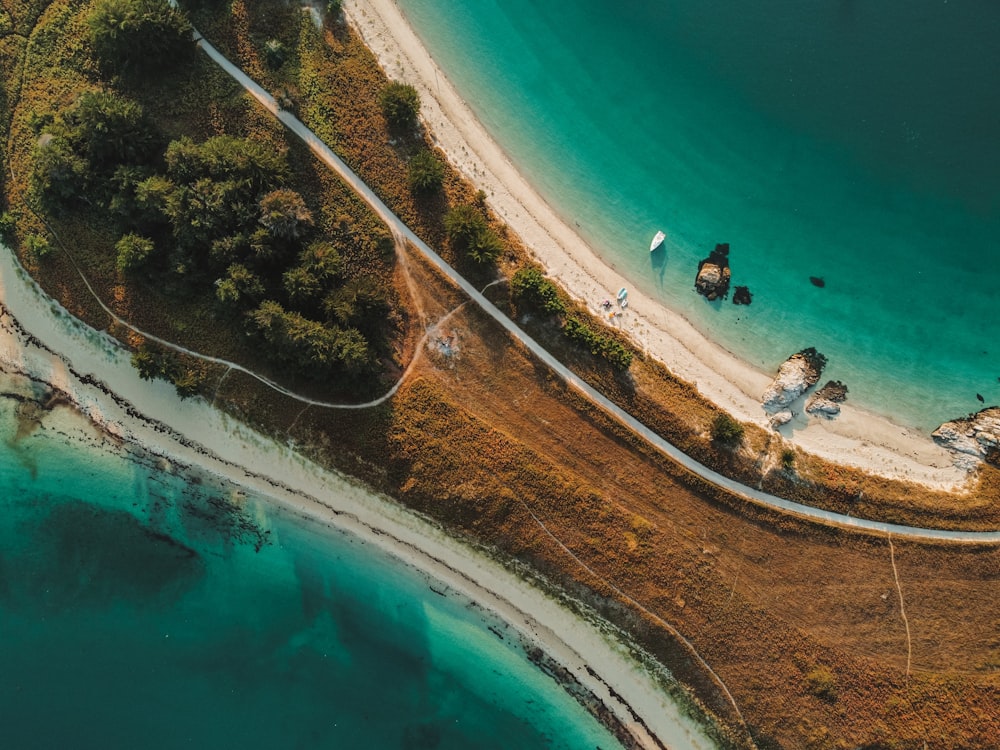 a beach with people on it