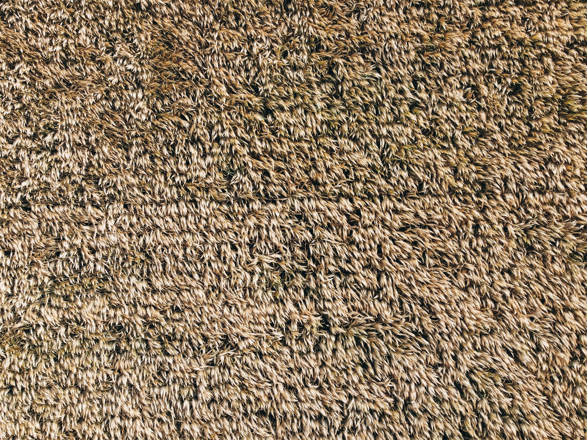 a close up of a textured surface