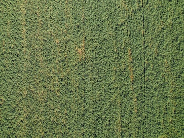 Multispectral sensors capturing data from a farm.
