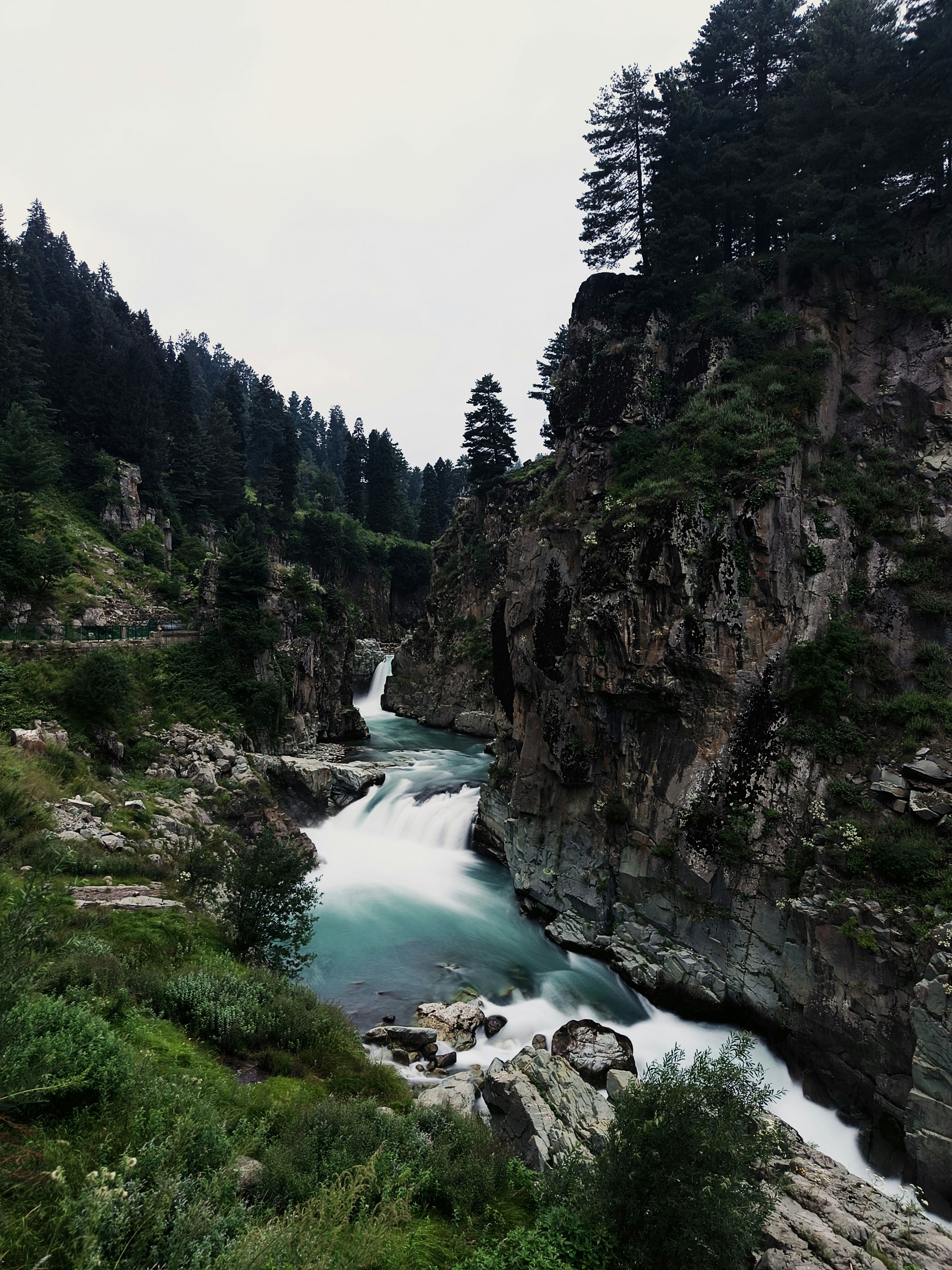 Photo by bhatmehranclicks