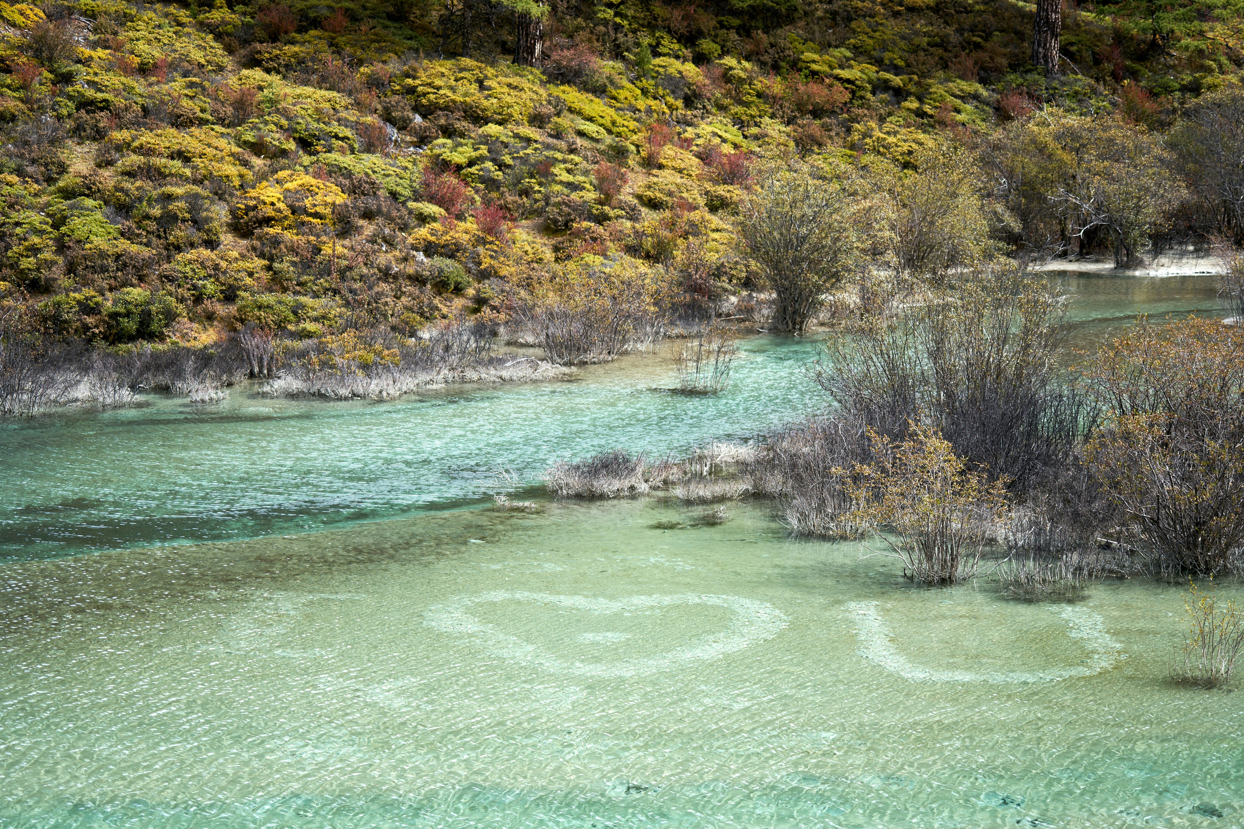 Ein Fluss mit Bäumen an der Seite