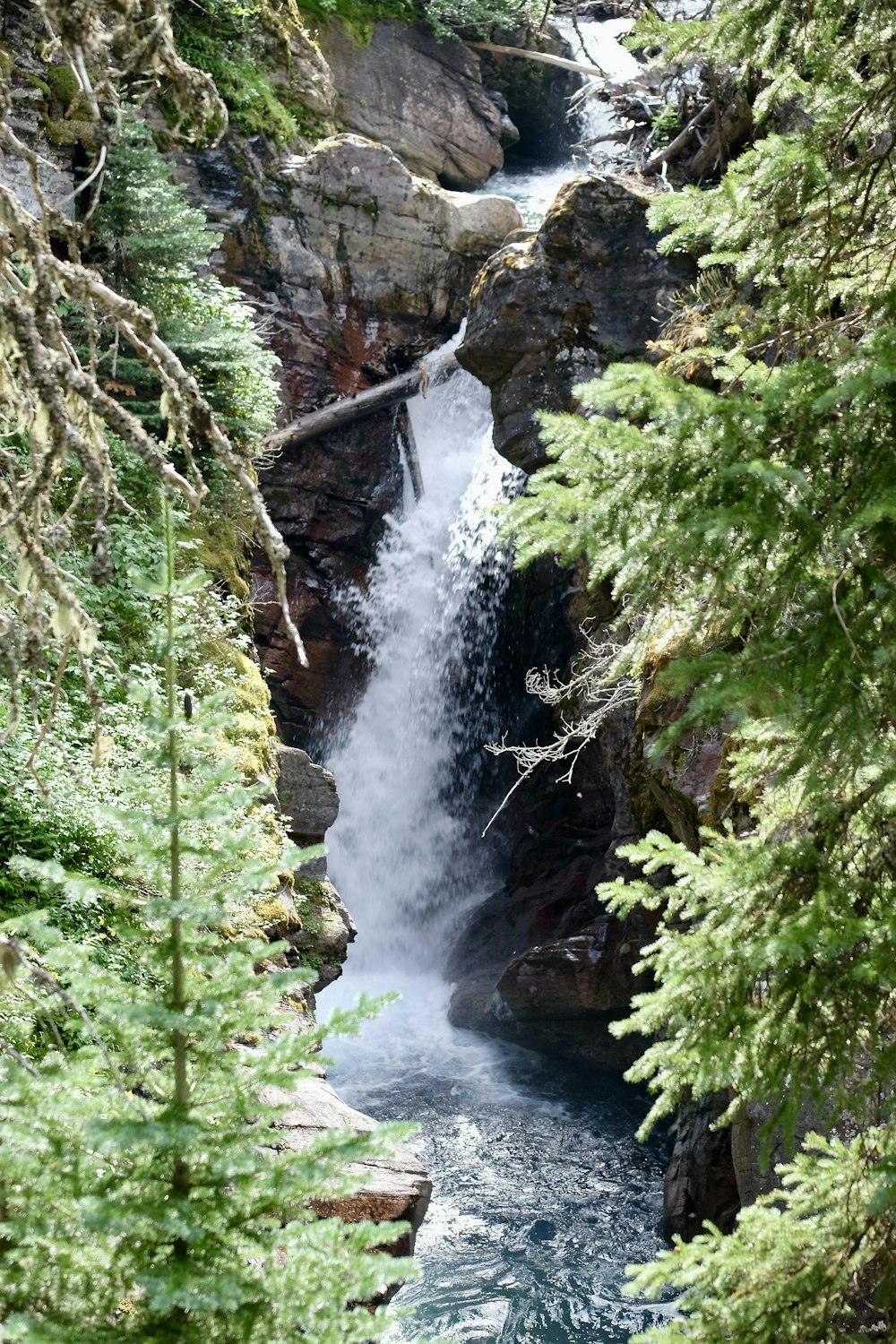 a waterfall in a forest