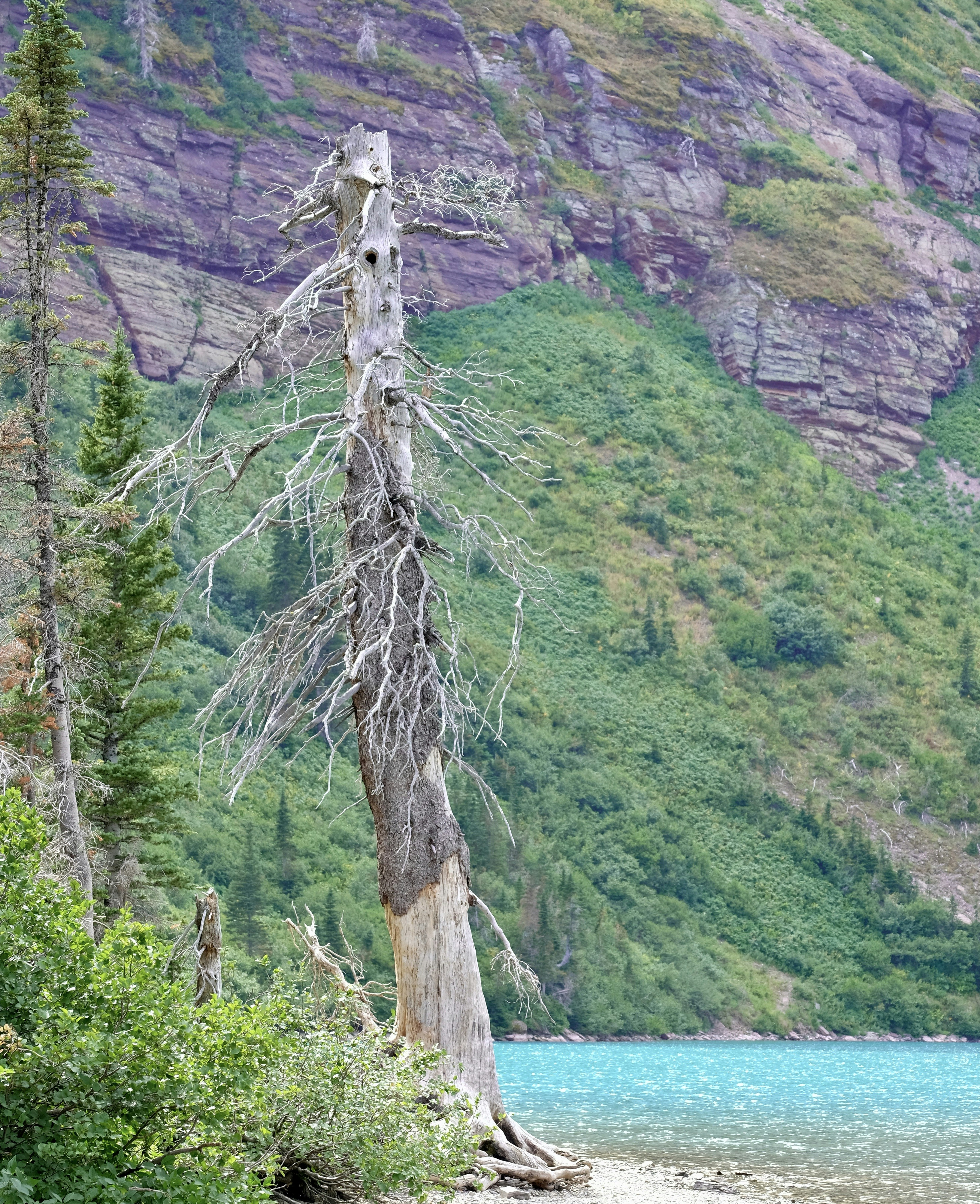 Bruce Rock, Western Australia