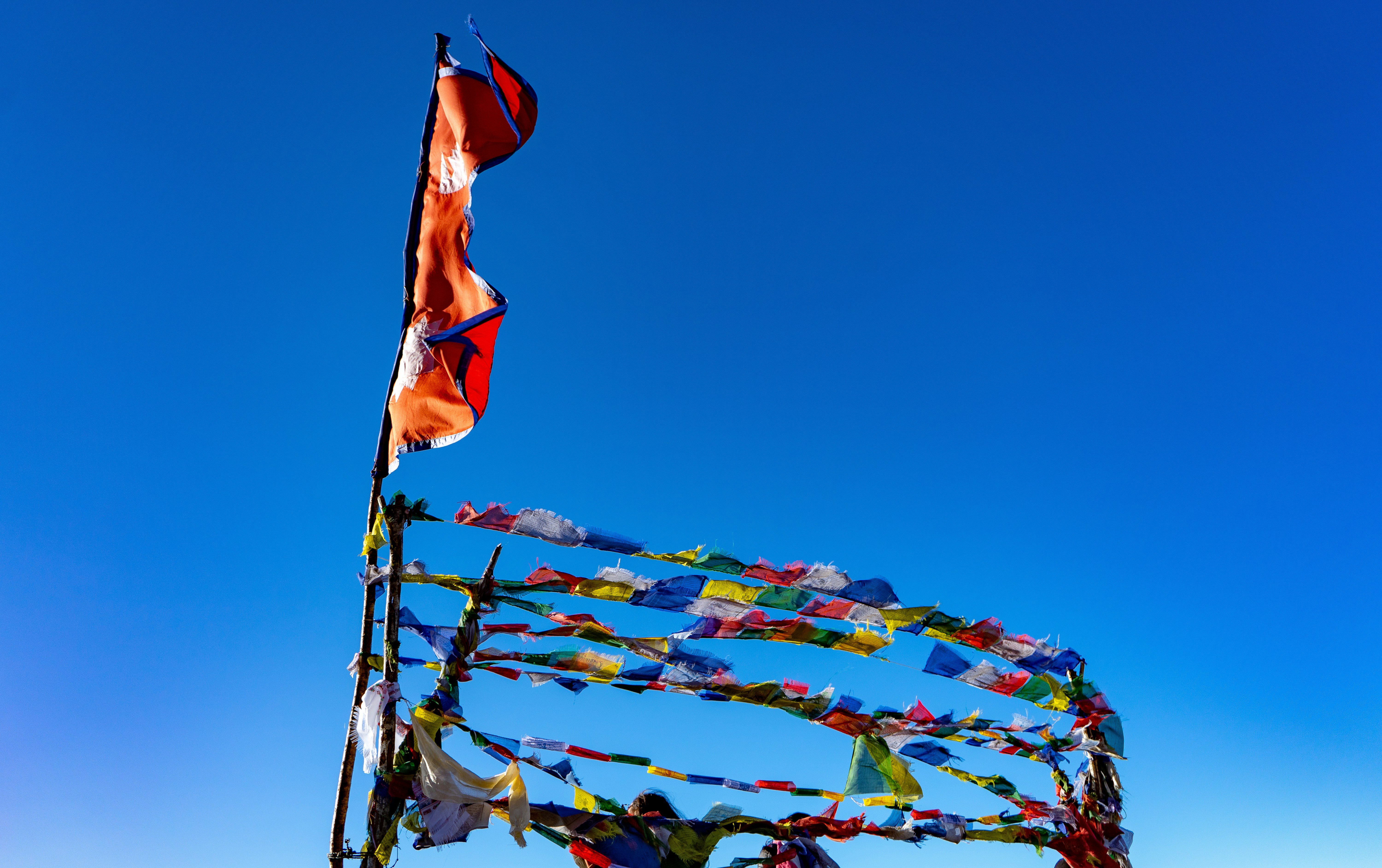 Photo by sergejs_horoshman