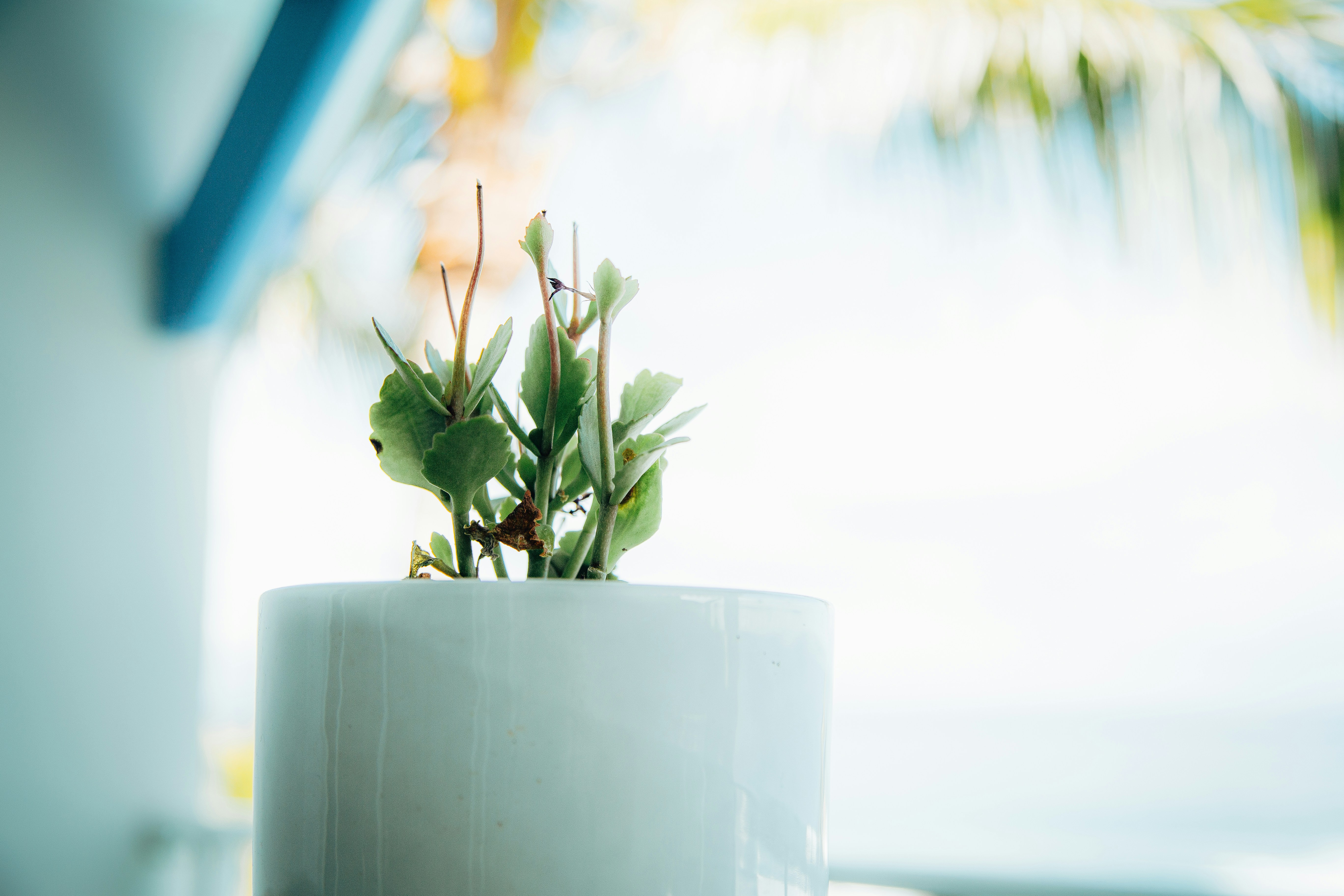 Photo by smithers131