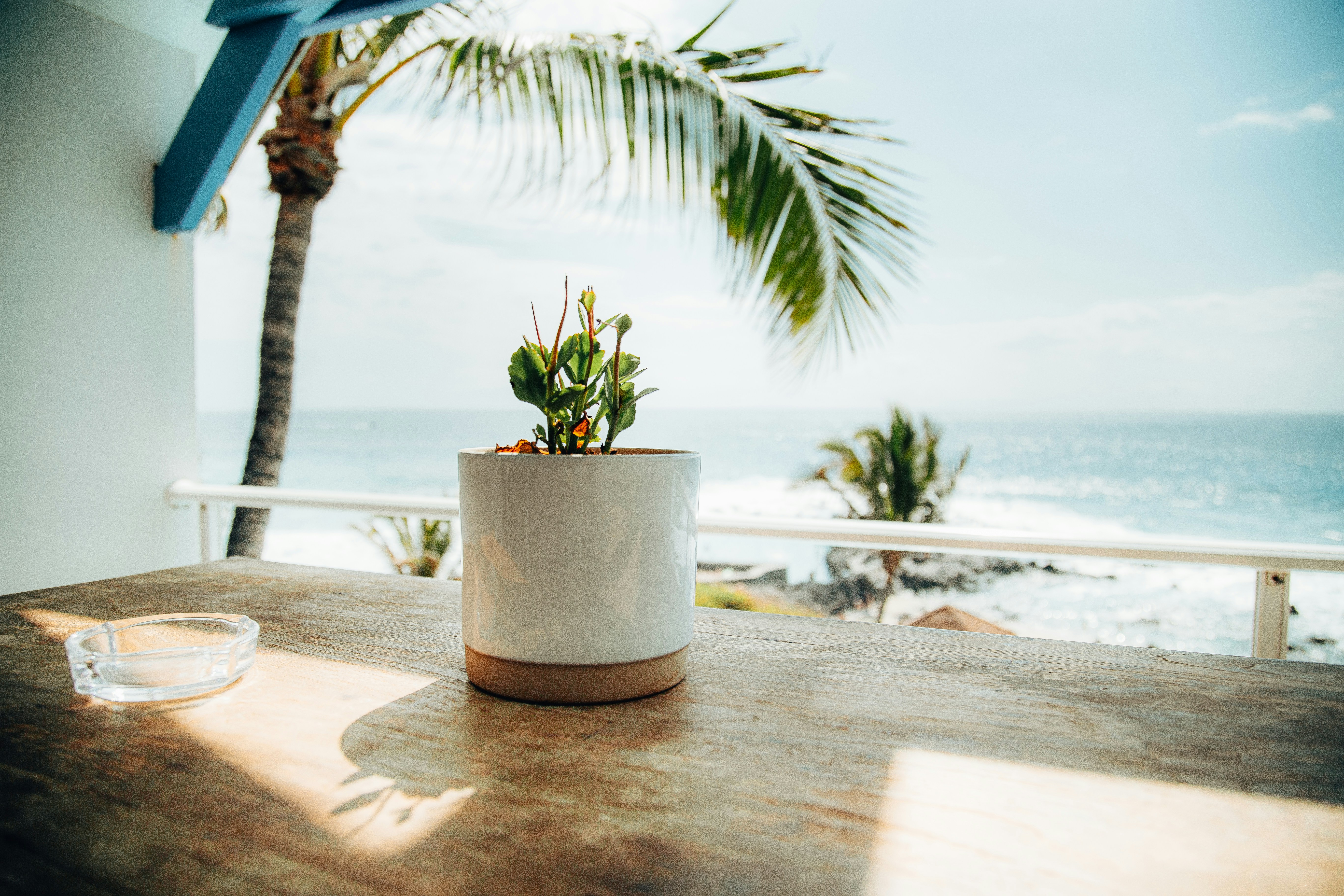 Photo by smithers131