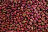 A close-up view of a large quantity of olives, displaying a variety of colors such as red, pink, and green. The olives have a glossy texture, suggesting they are either in brine or oil.