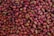 A close-up view of a large quantity of olives, displaying a variety of colors such as red, pink, and green. The olives have a glossy texture, suggesting they are either in brine or oil.