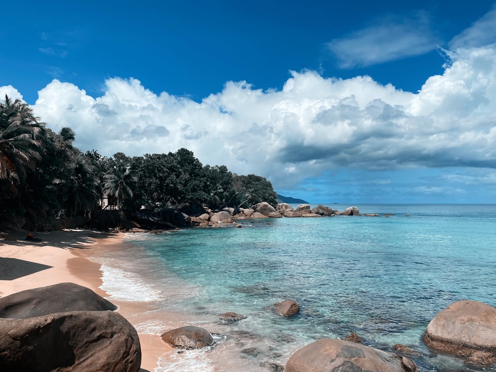 a beach with rocks and trees