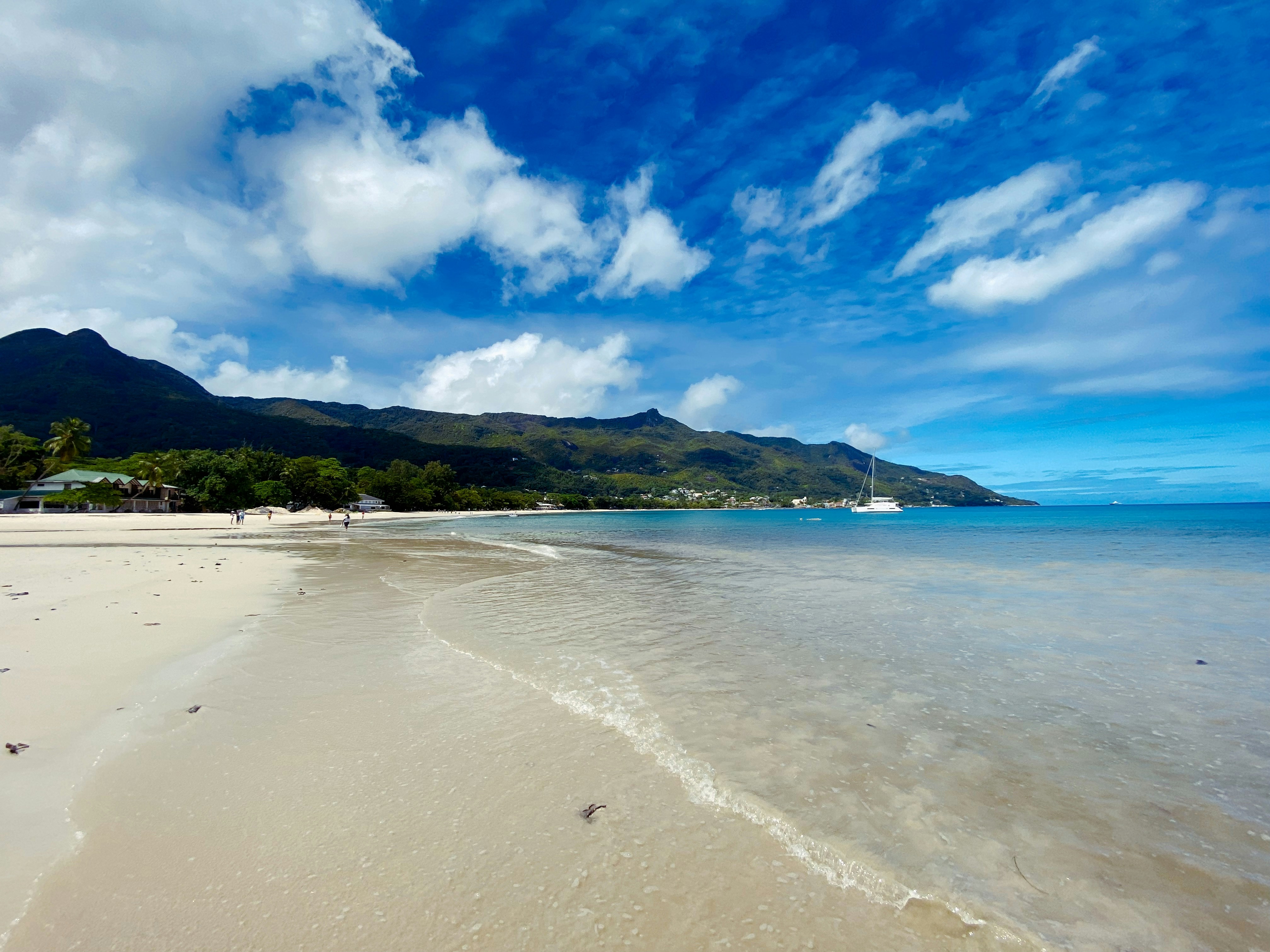 a beach with a sailboat