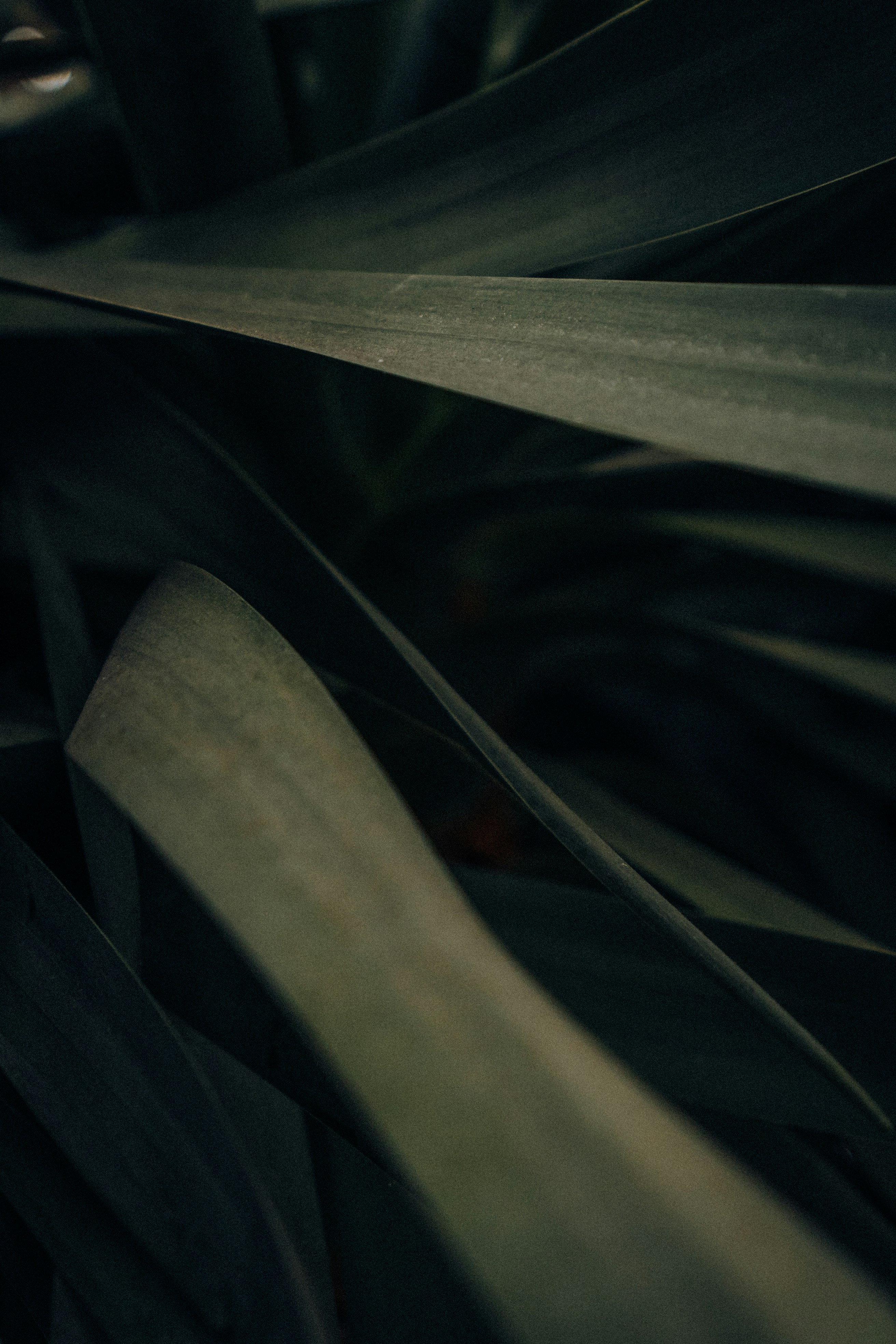 Photo by albertvincentwu