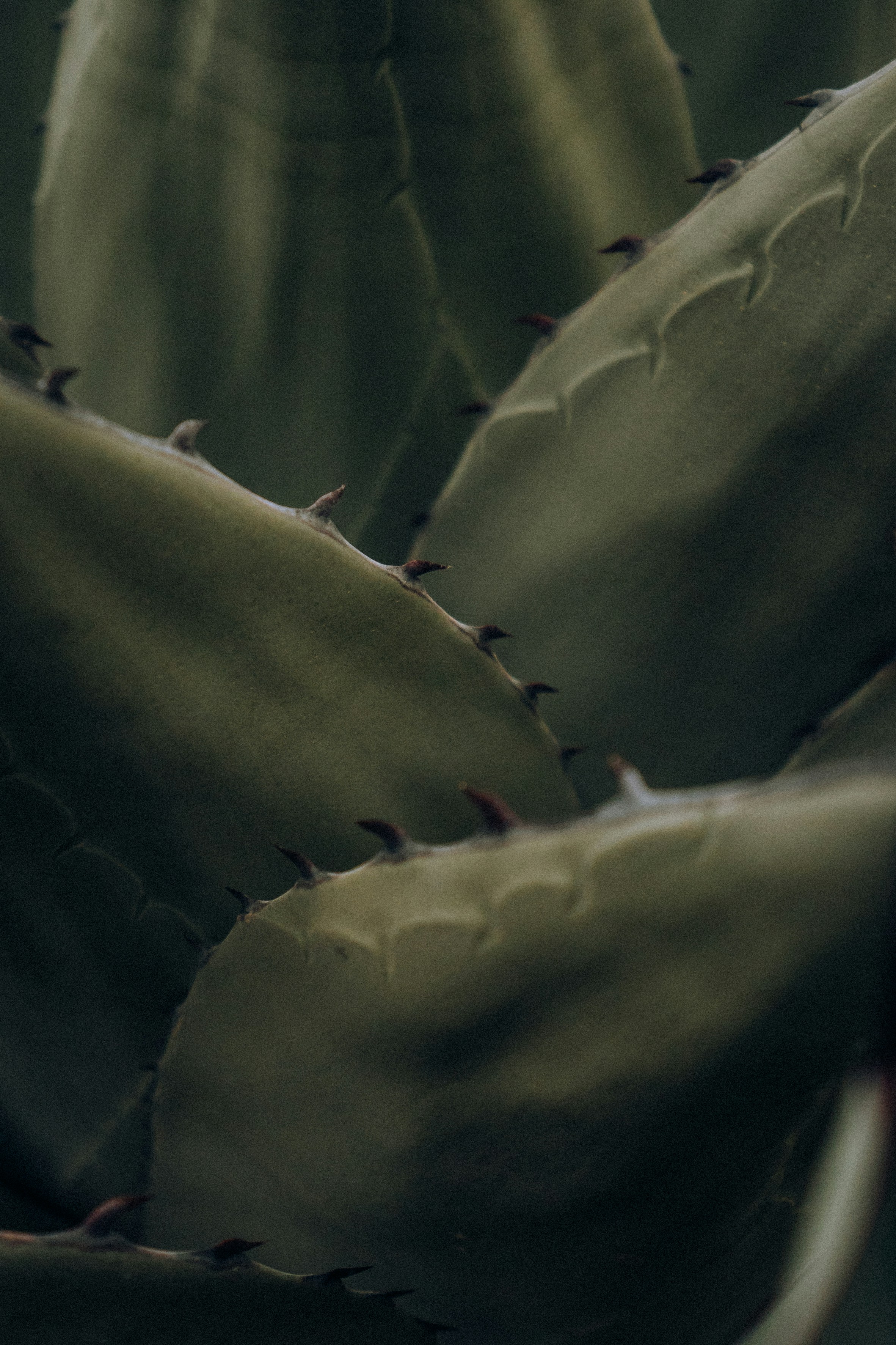 Photo by albertvincentwu