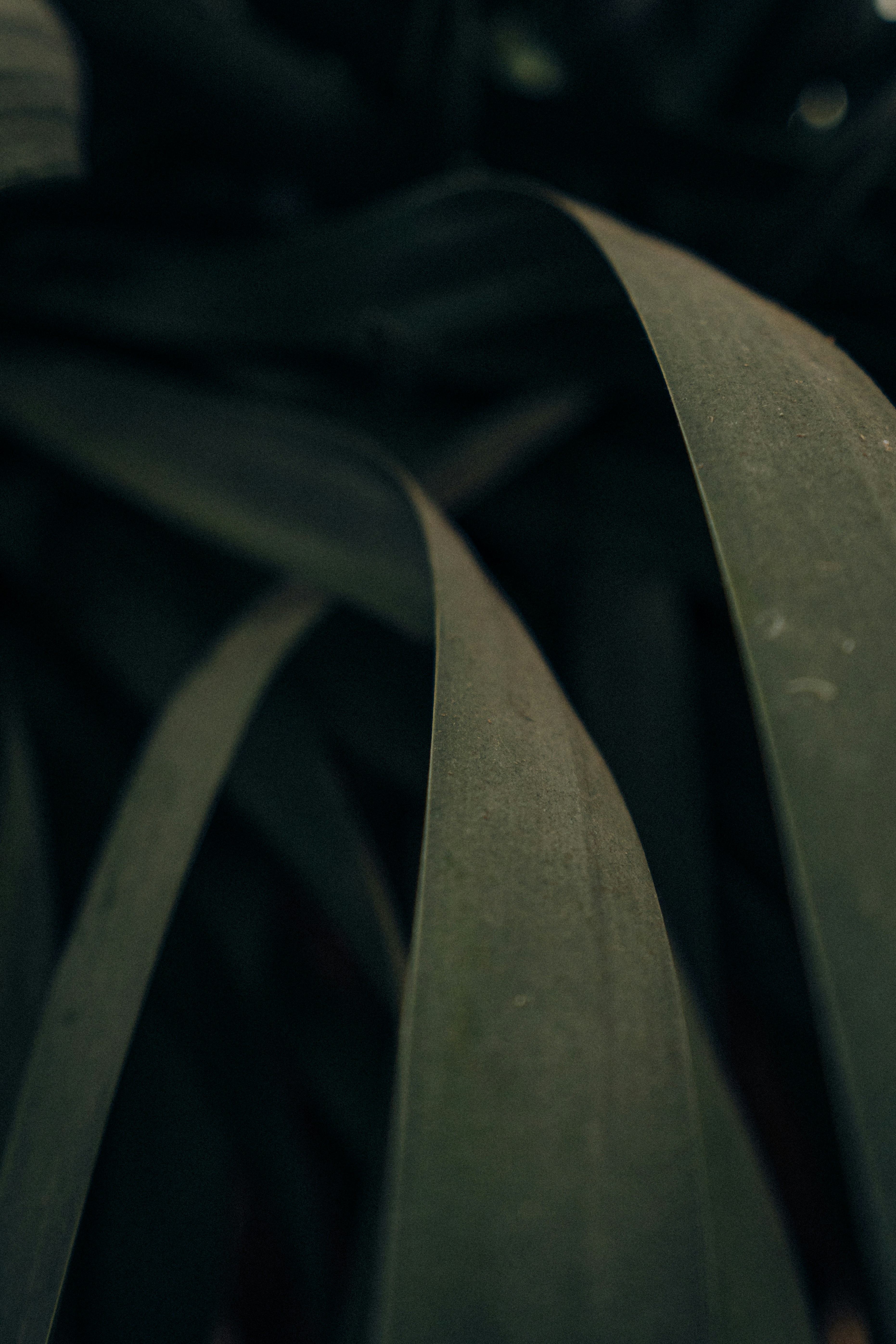 Photo by albertvincentwu