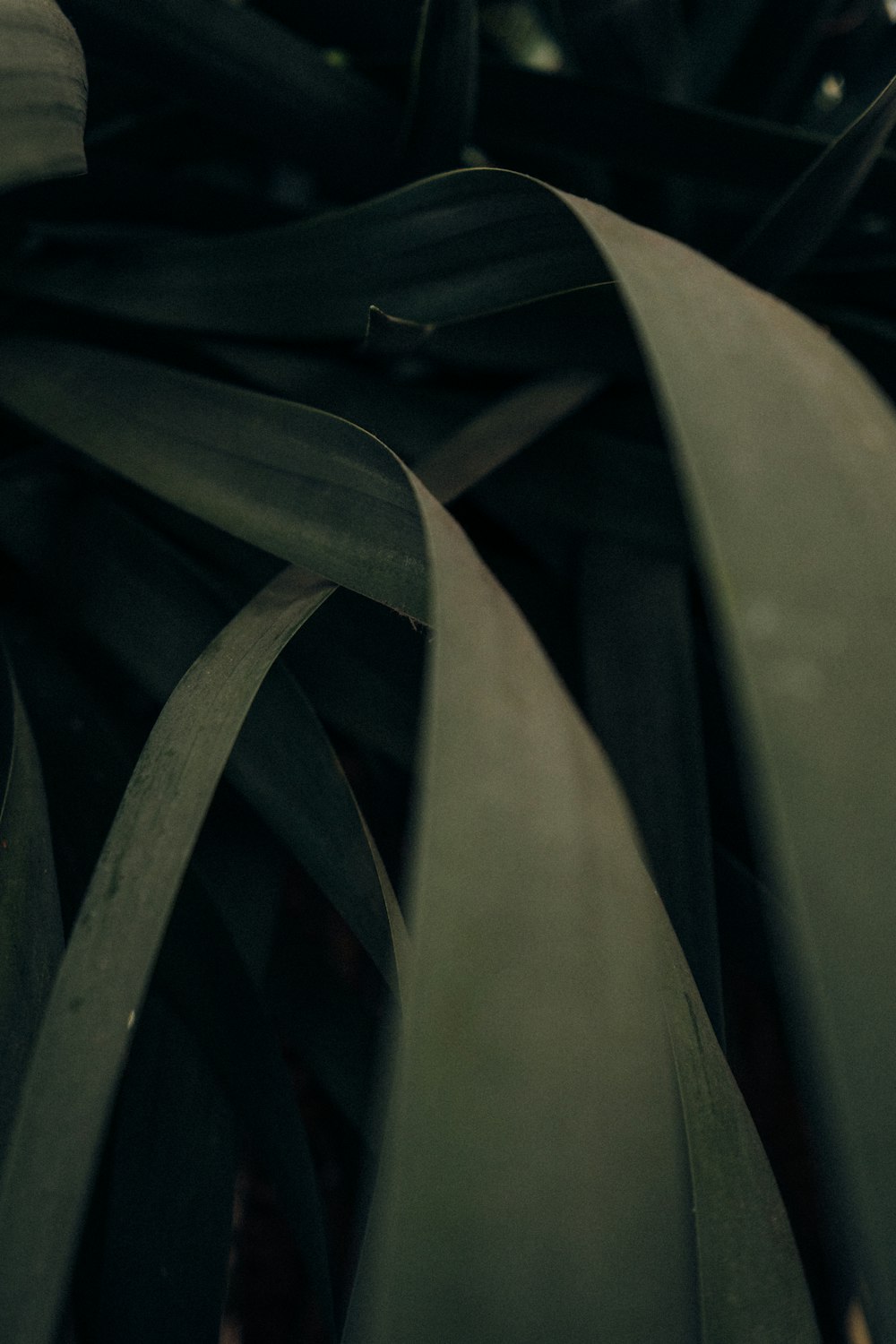 a close up of a black leather chair