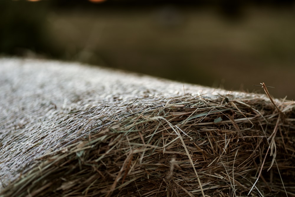 a pile of dry grass