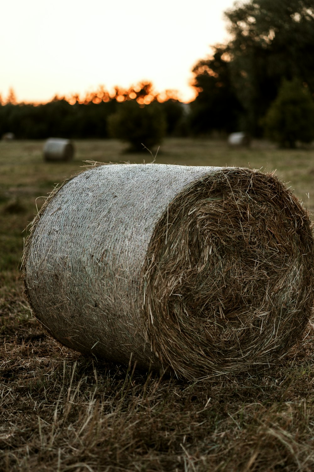 a large round object in a field