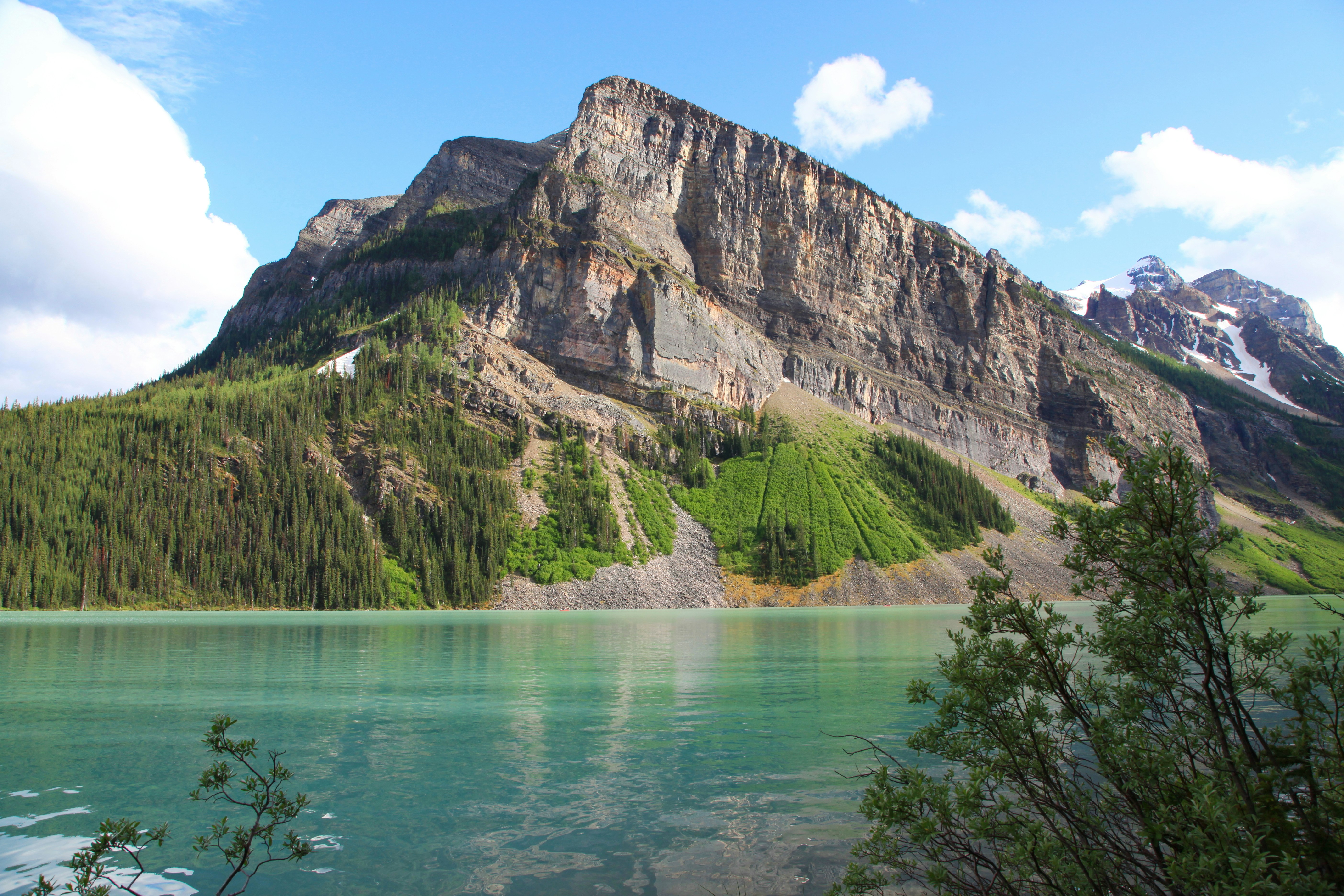 Photo by goldenplover31