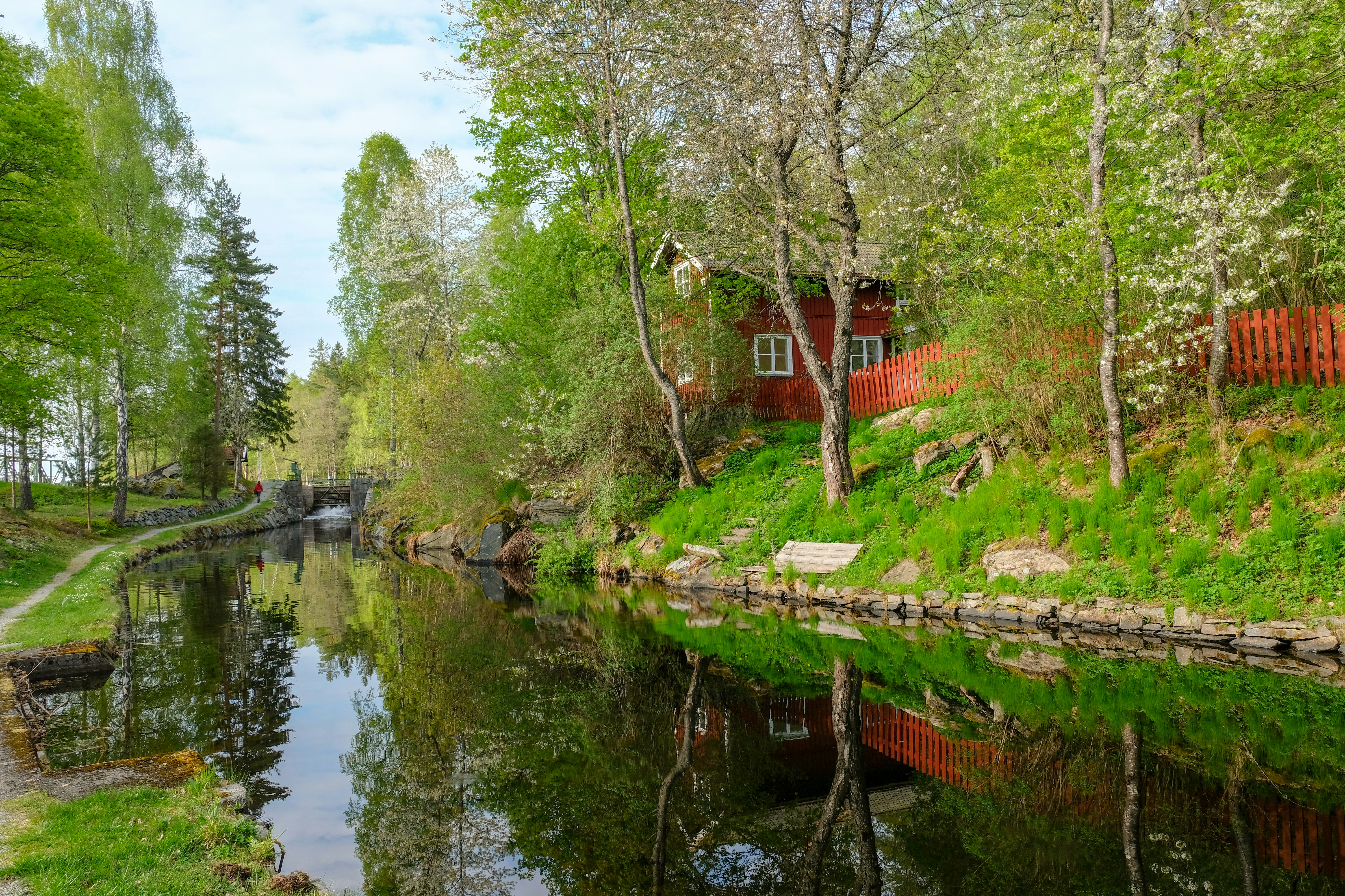 Photo by davotibarna