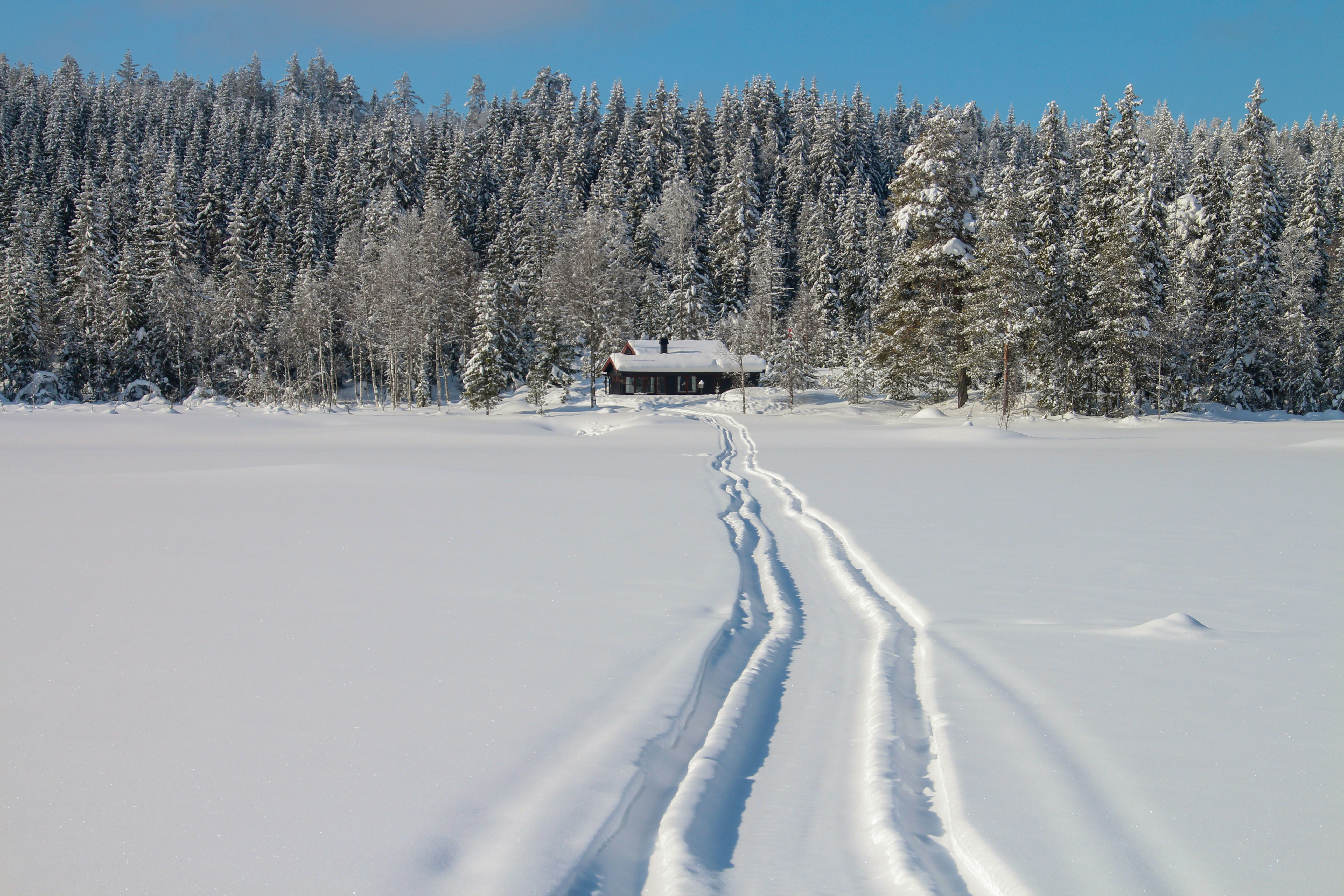 a house in the snow