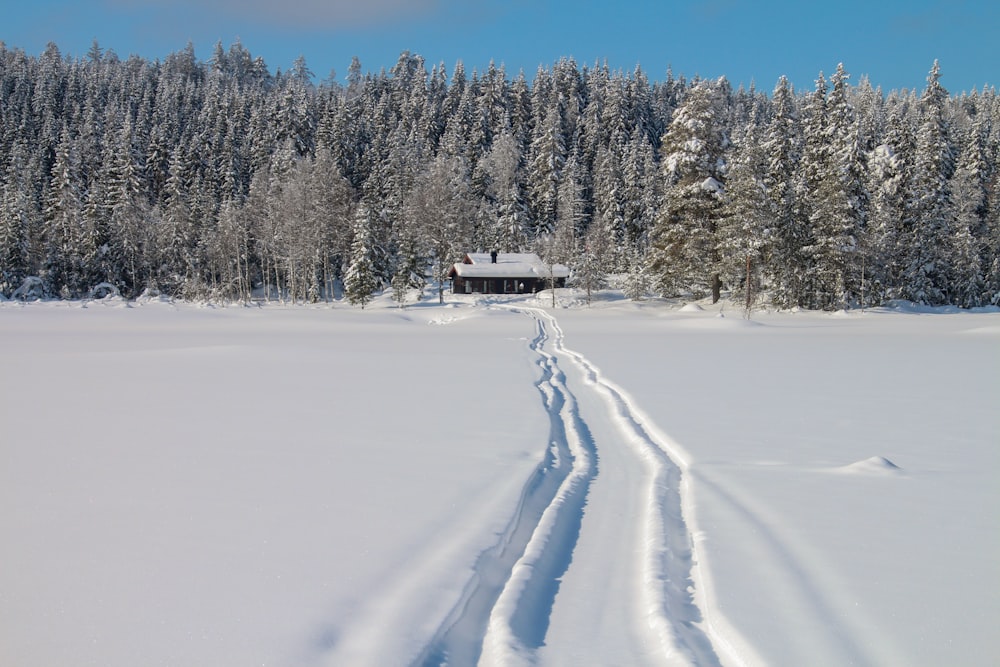 a house in the snow