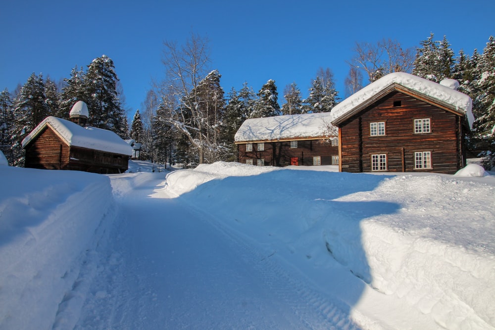 a snowy yard with a couple of buildings and trees