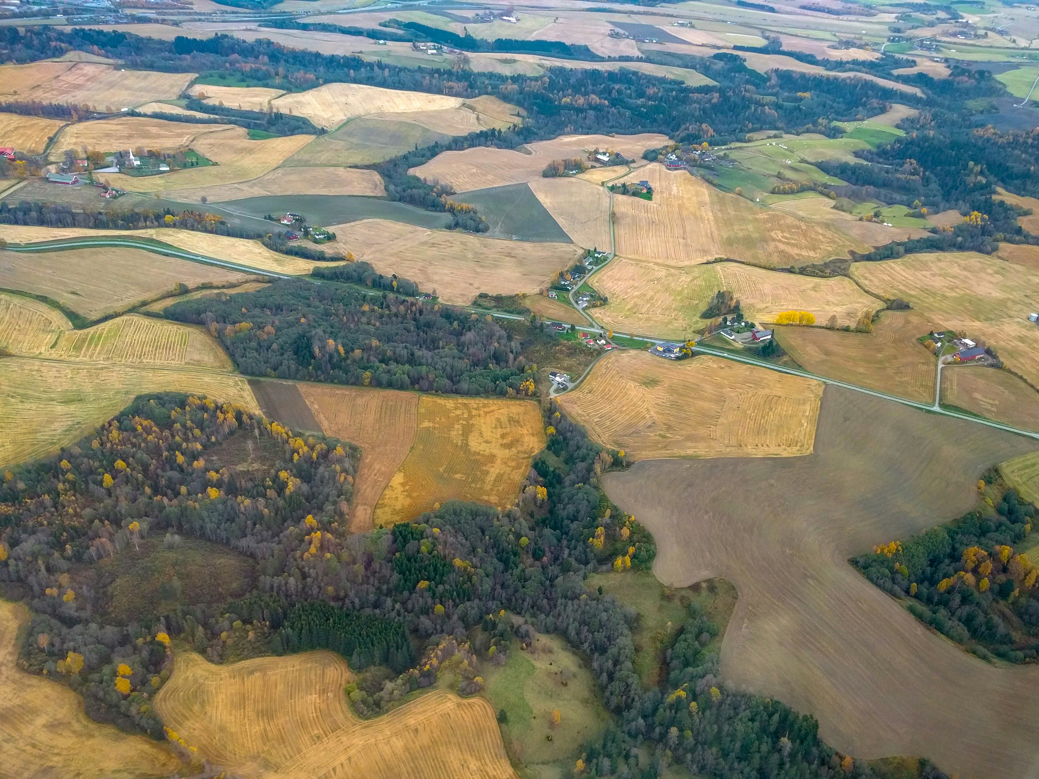 Photo by davotibarna