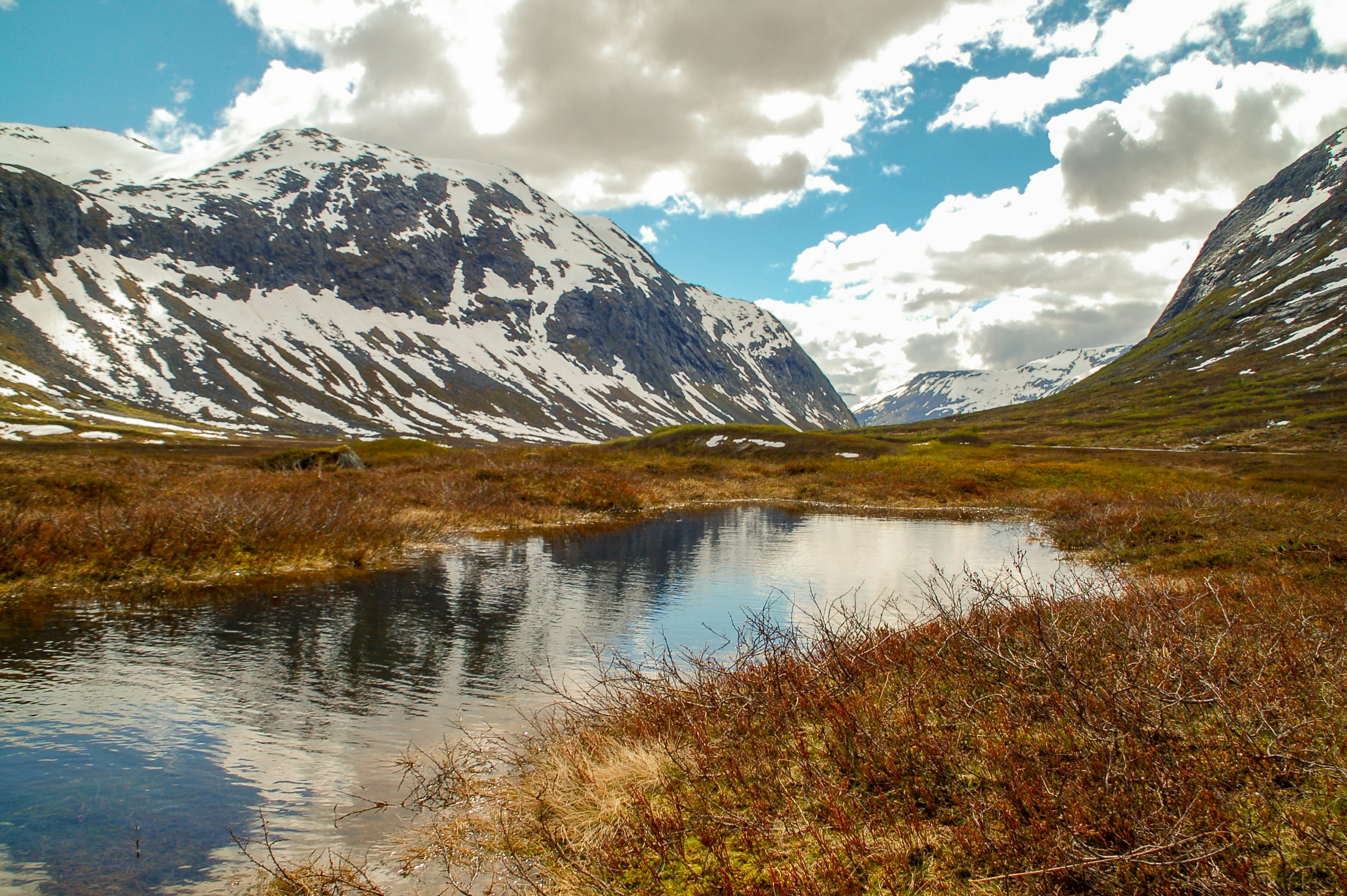 Photo by davotibarna