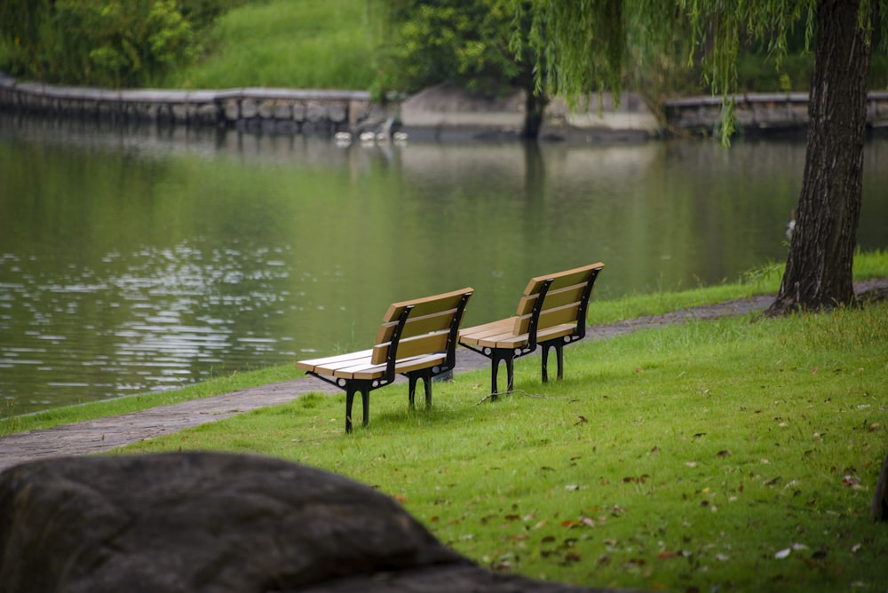 a group of benches sit by a lake