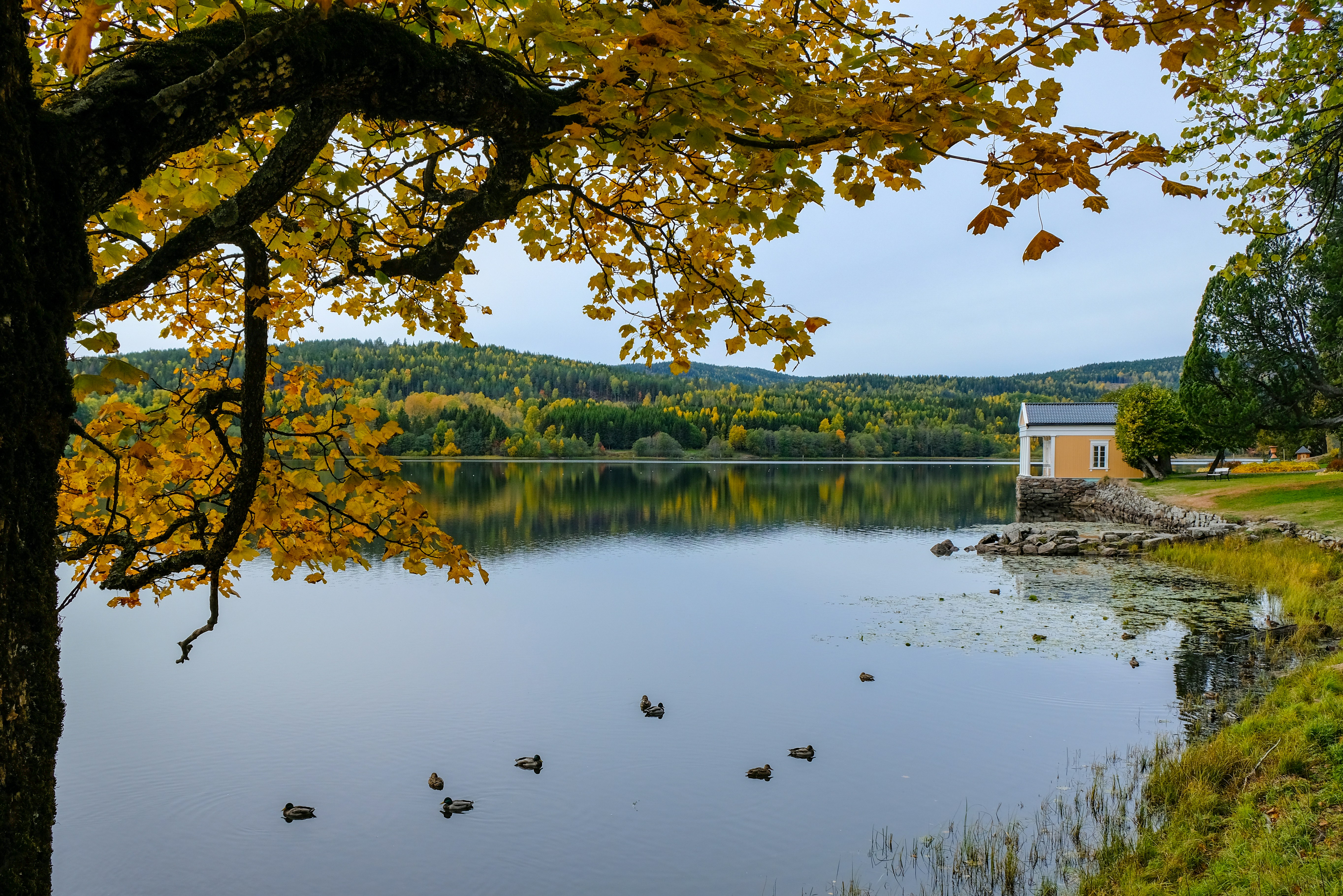 Photo by davotibarna