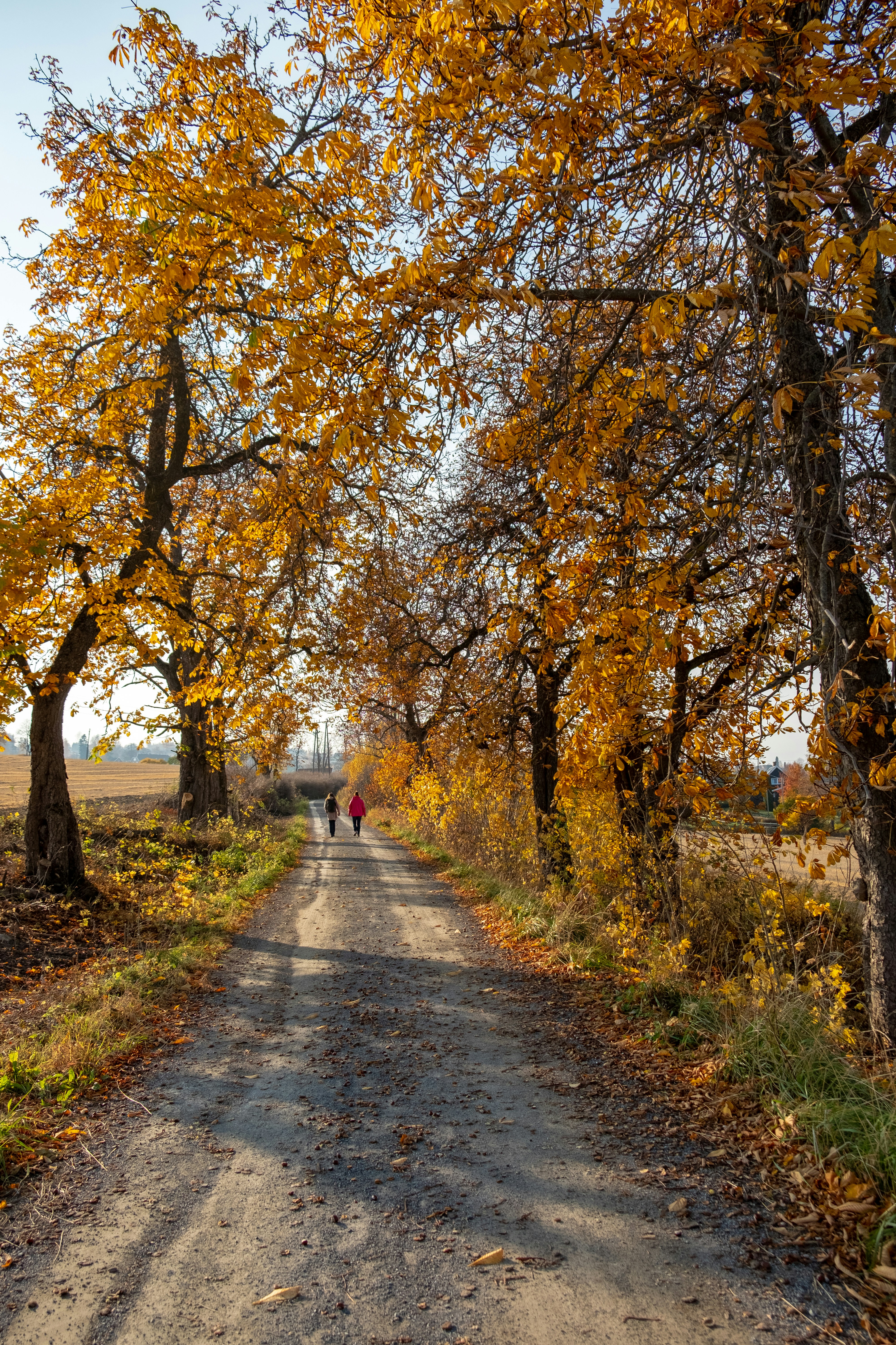 Photo by davotibarna