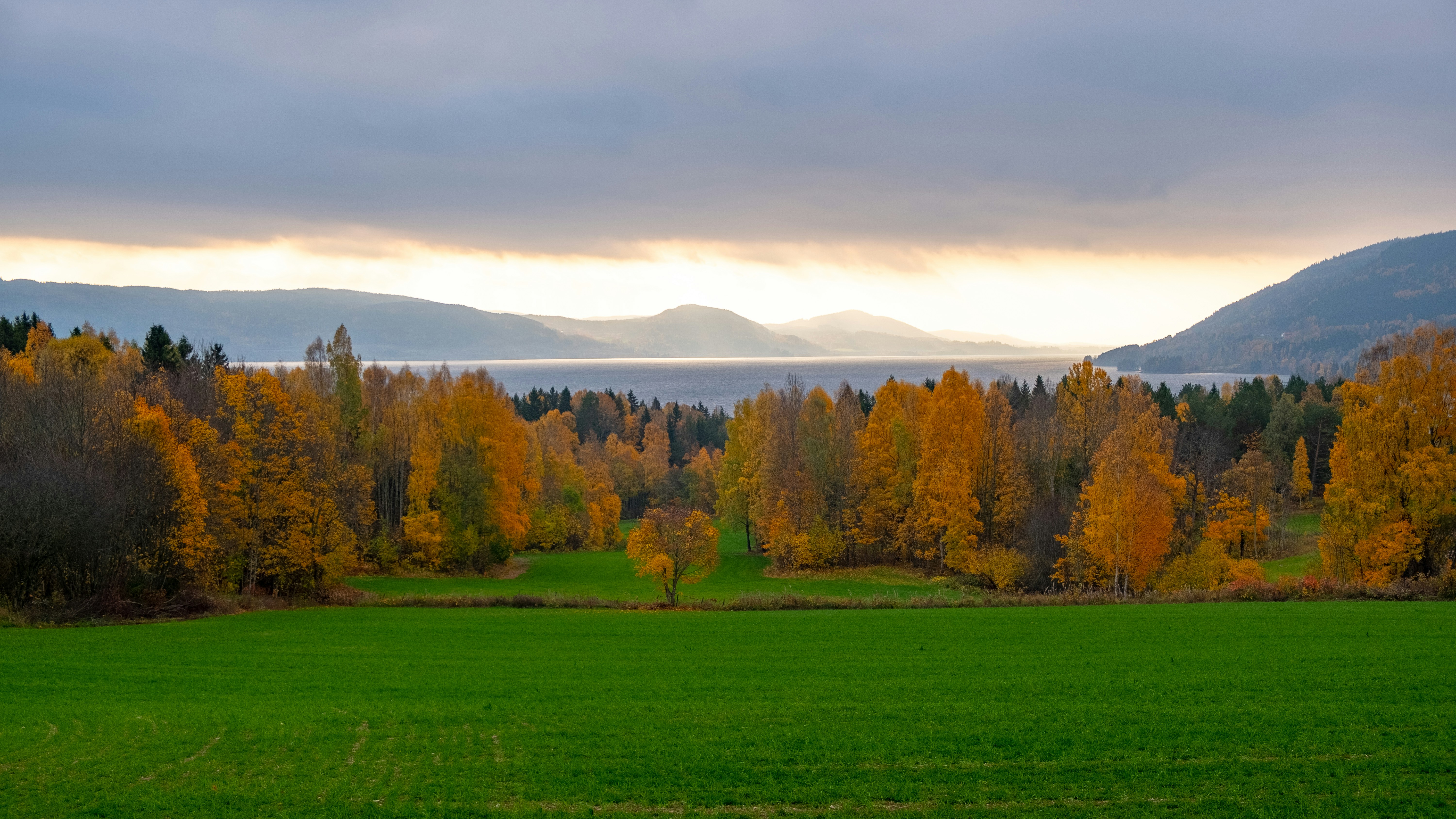 Photo by davotibarna