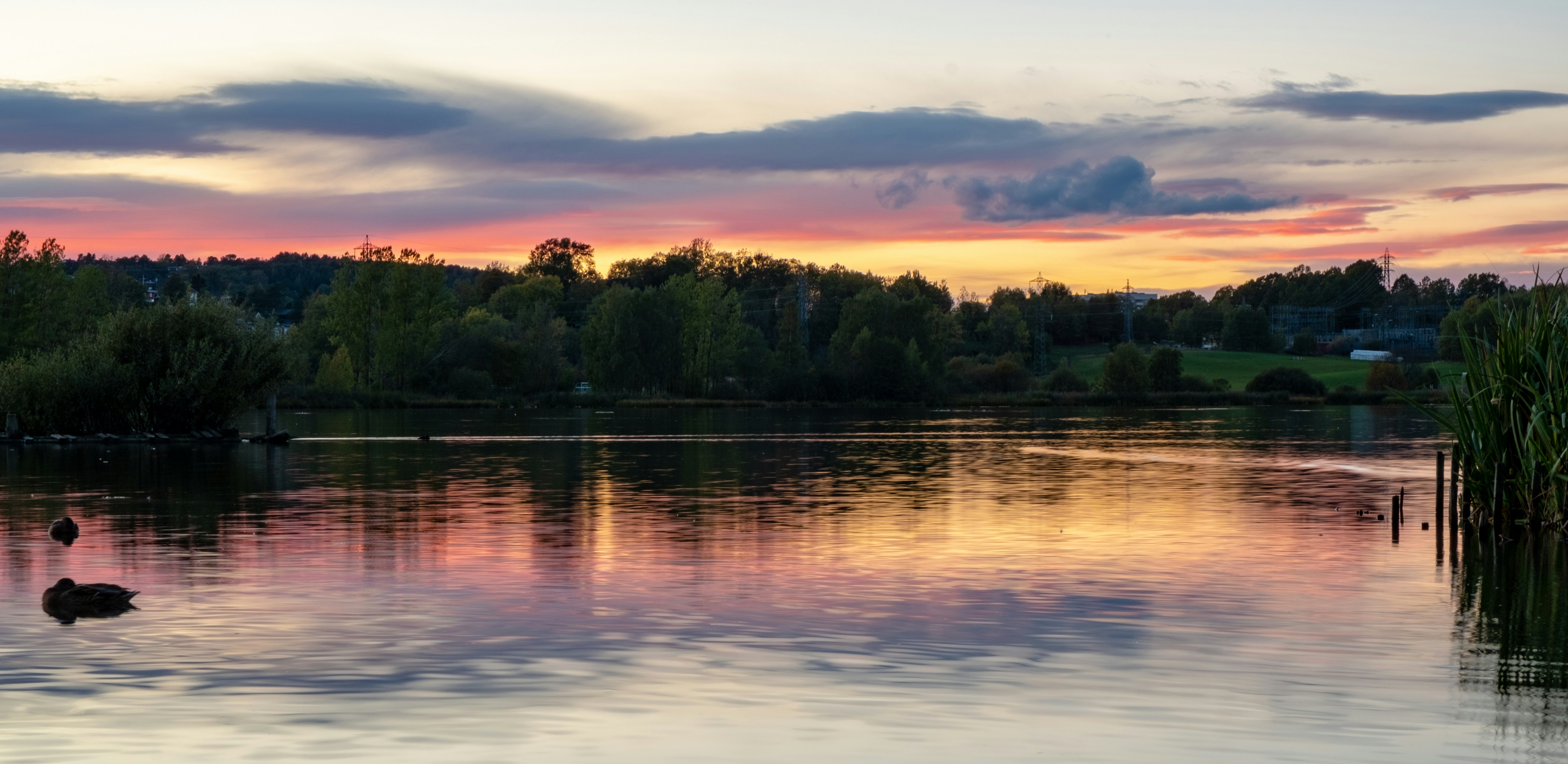 Photo by davotibarna