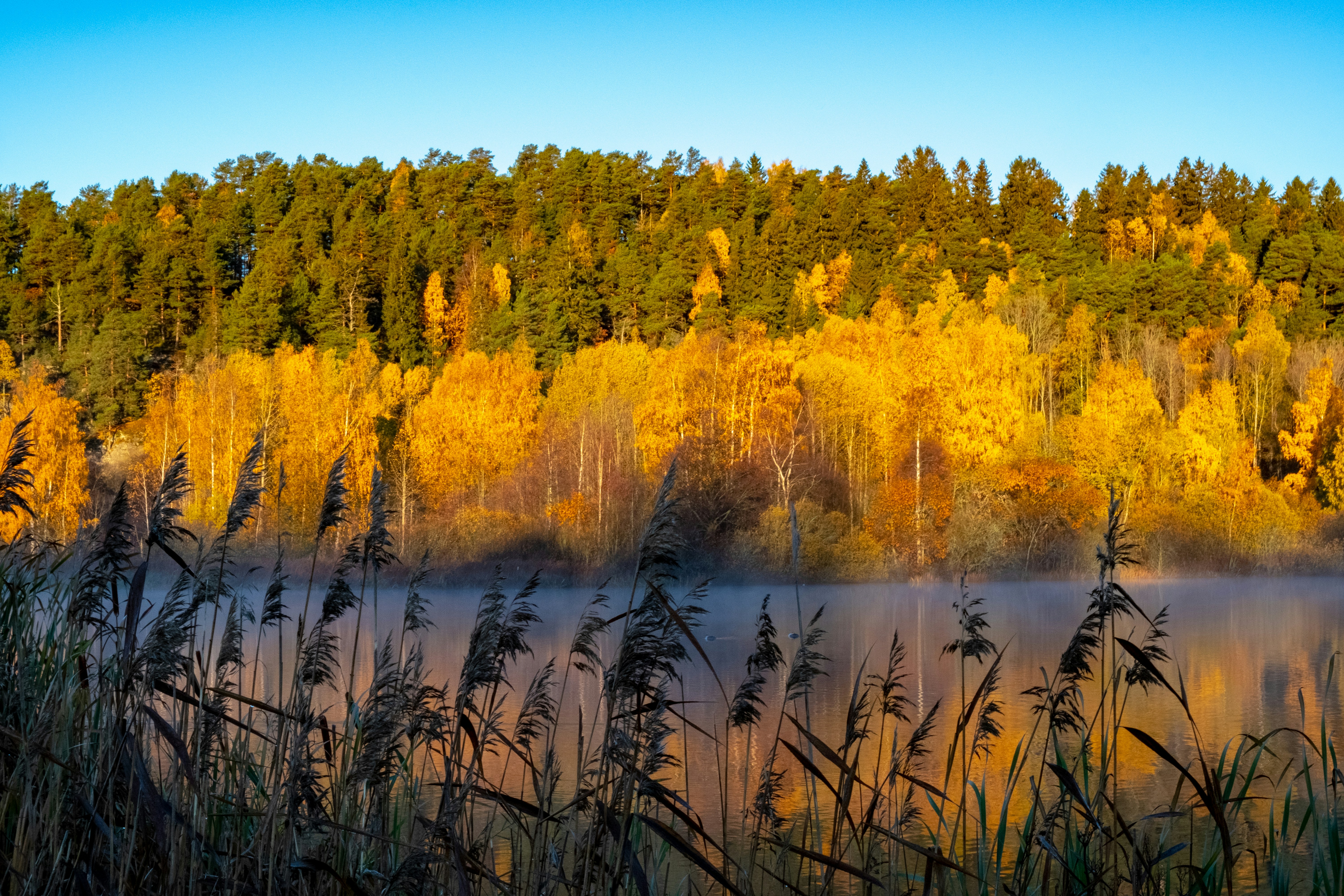 Photo by davotibarna