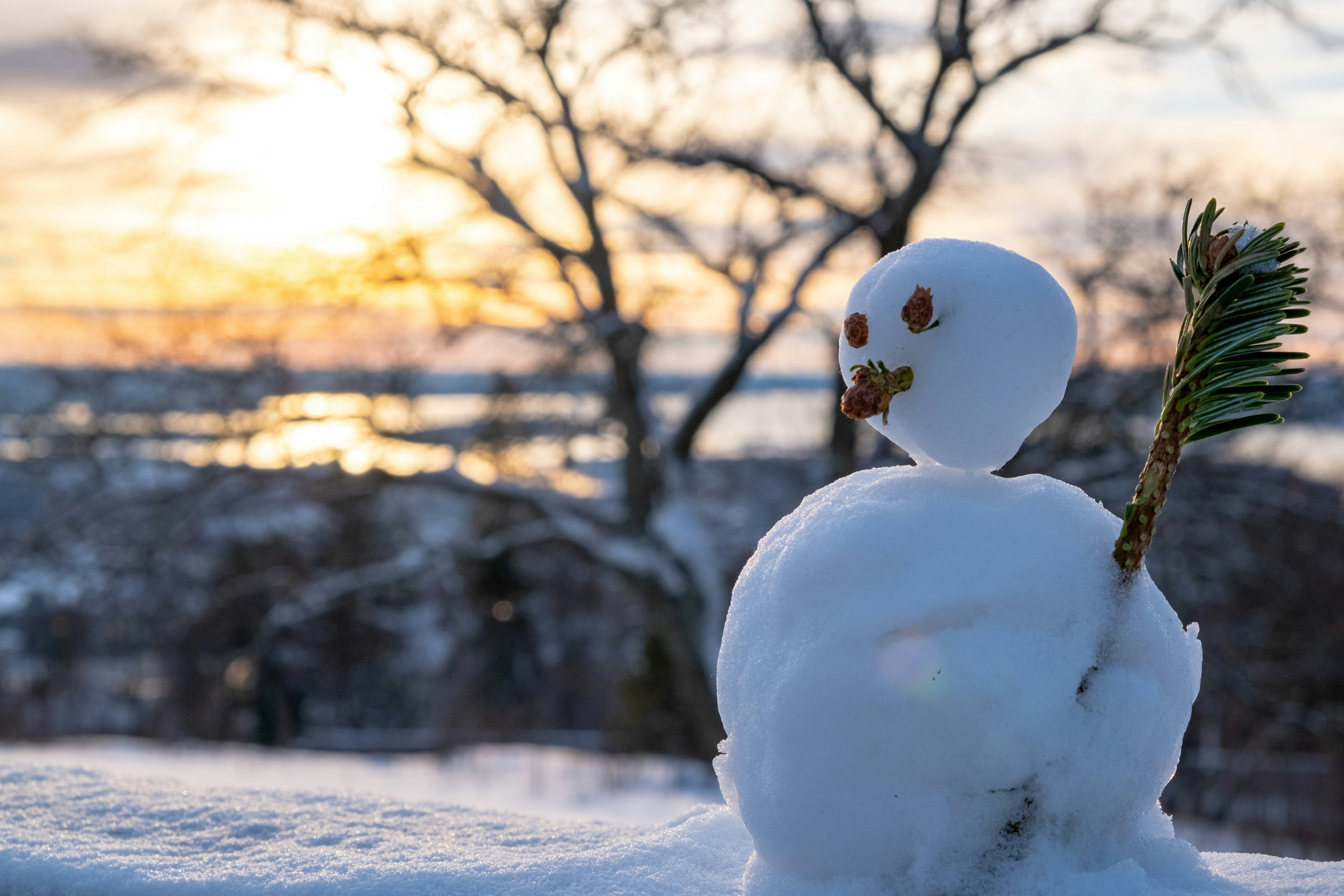 Photo by davotibarna