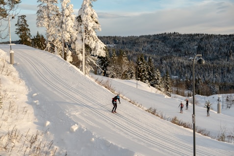 people skiing on the snow